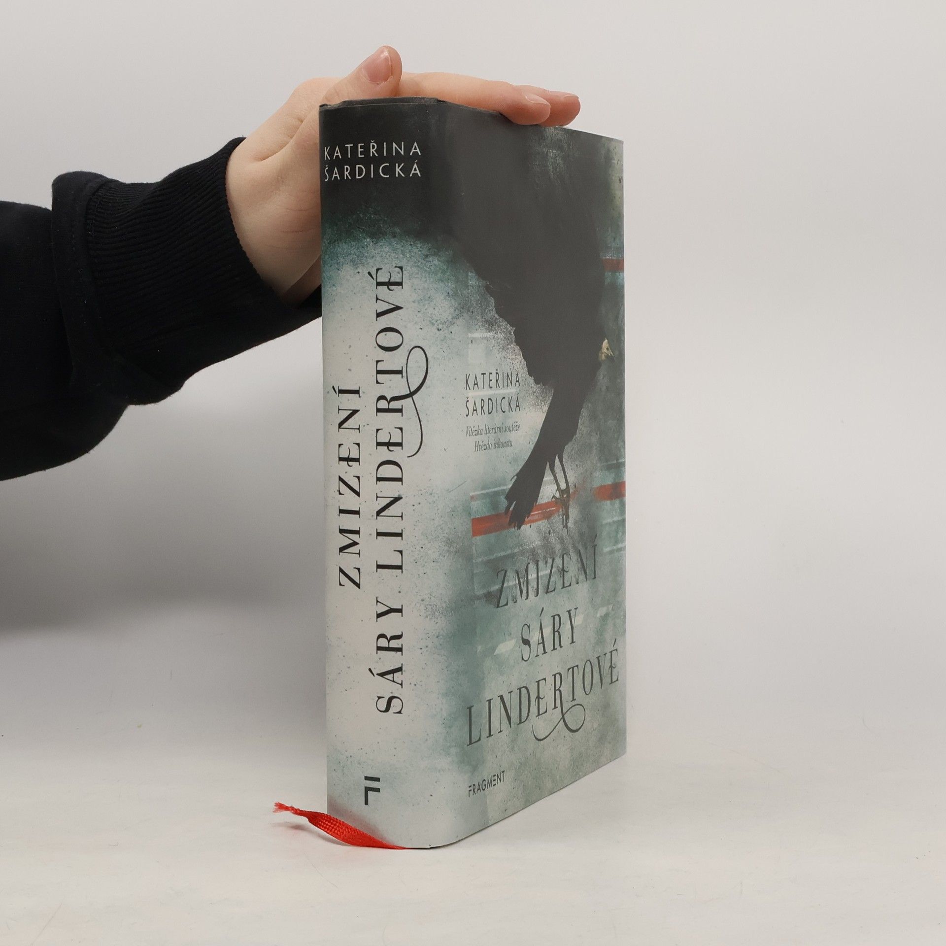 Kateřina Šardická Zmizení Sáry Lindertové