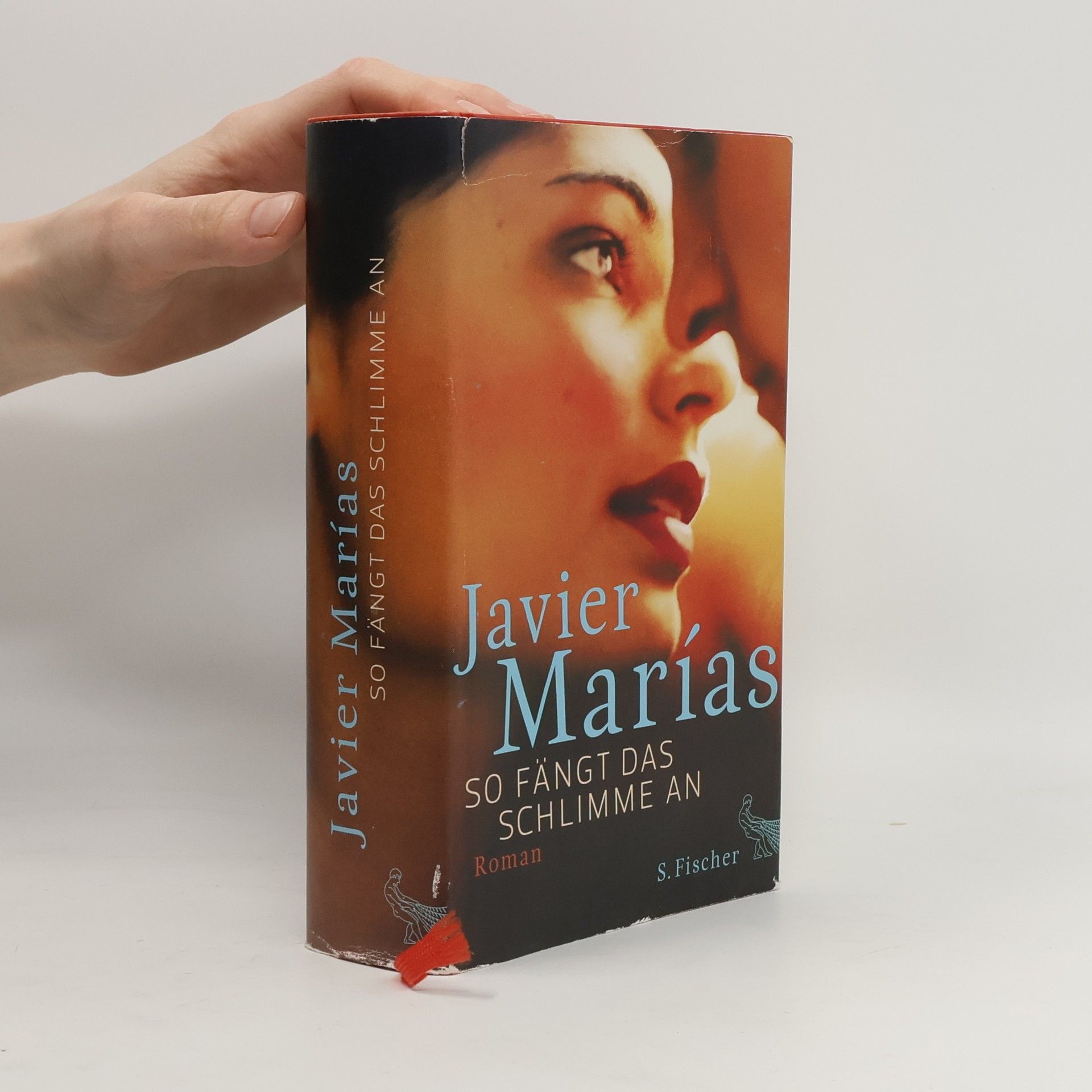 Javier Marías So fängt das Schlimme an