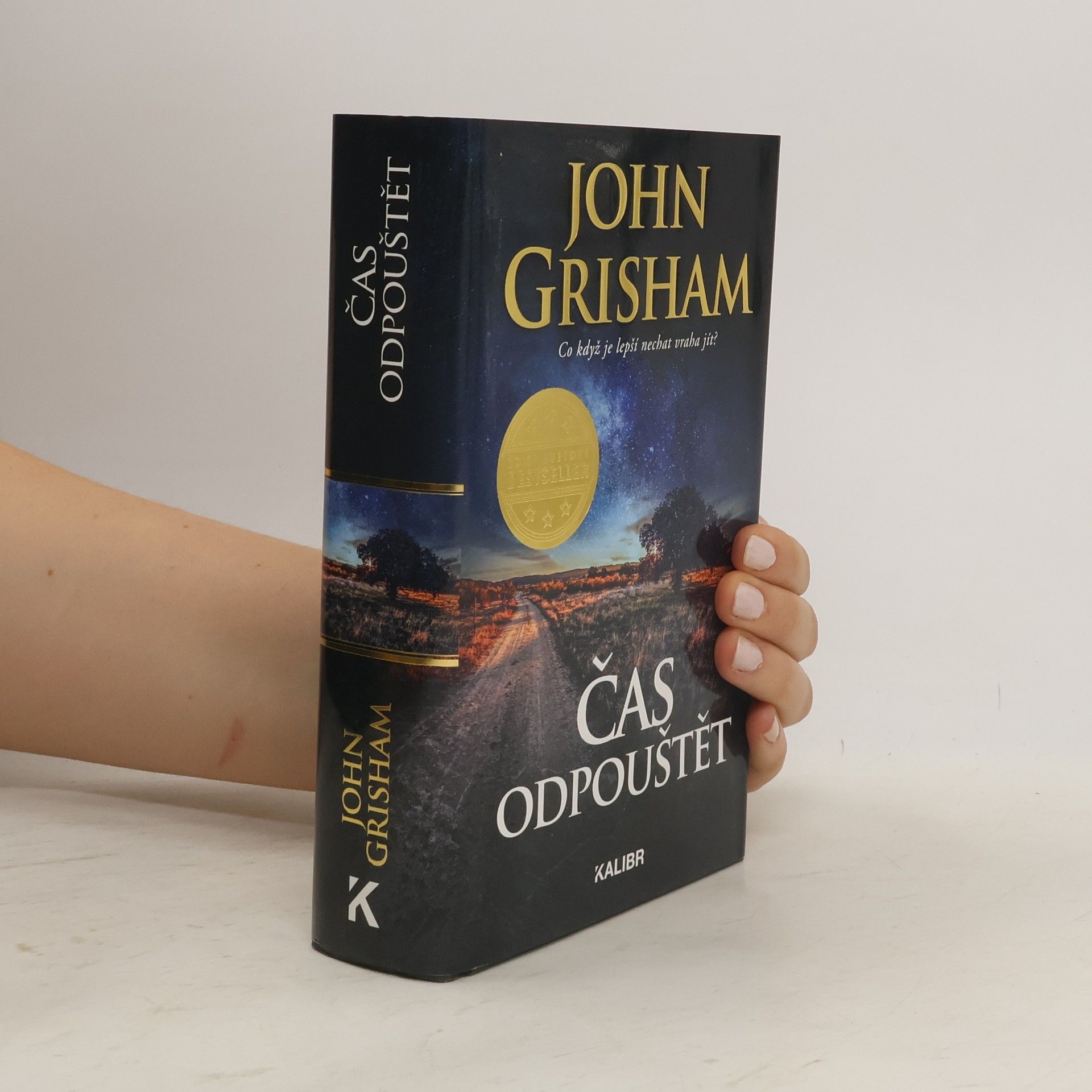 John Grisham Čas odpouštět