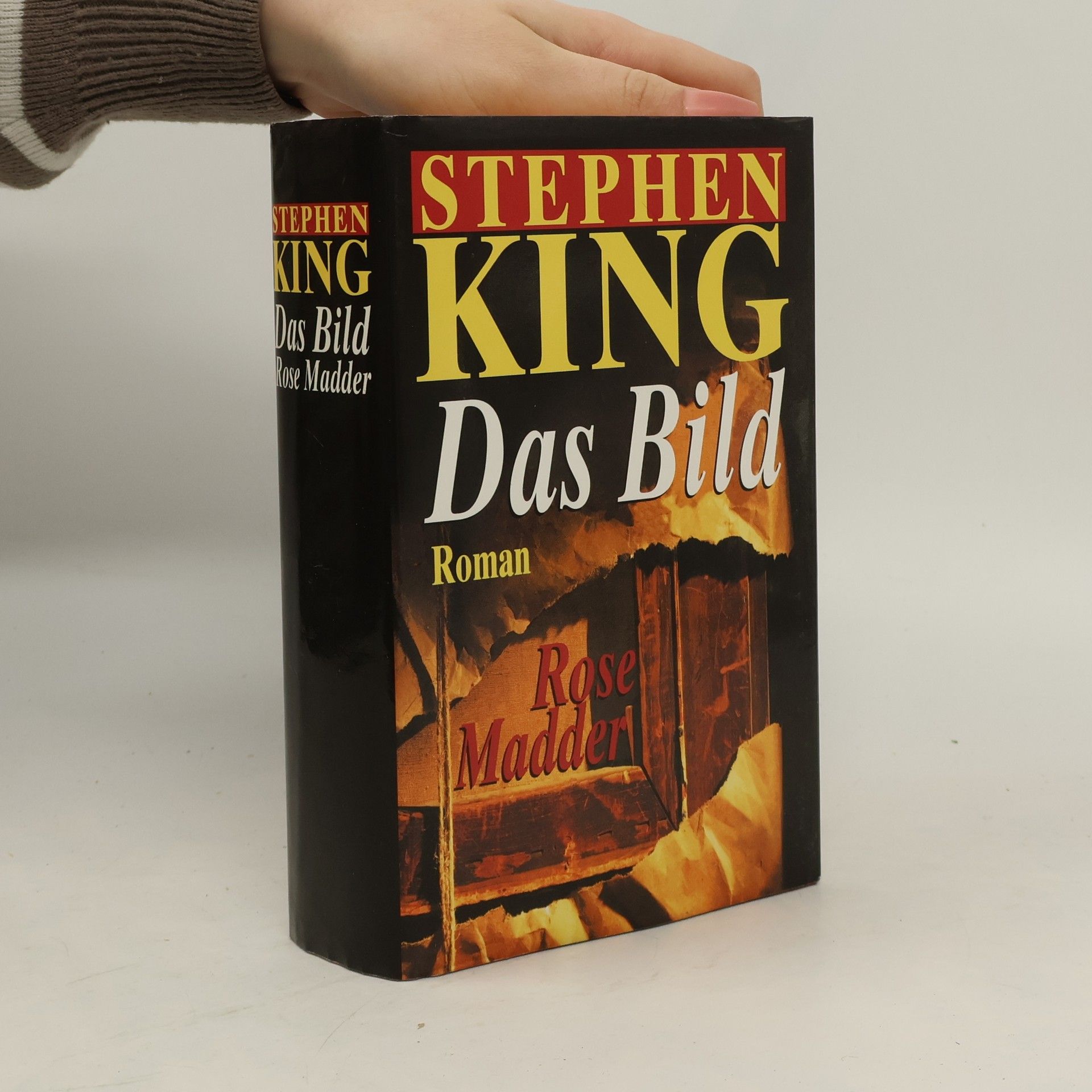Stephen King Das Bild. Rose Madder