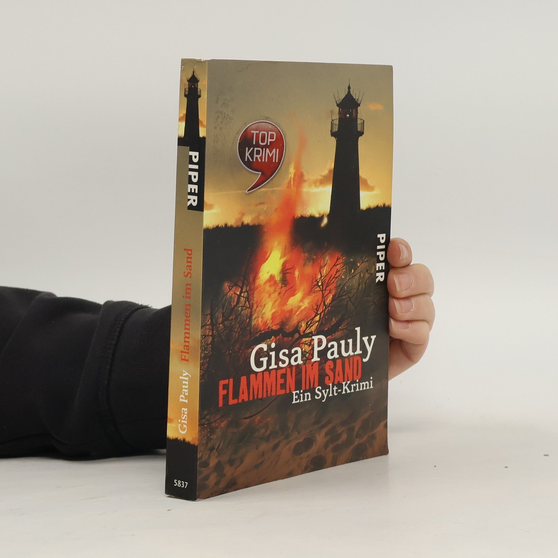 Gisela Pauly Flammen im Sand