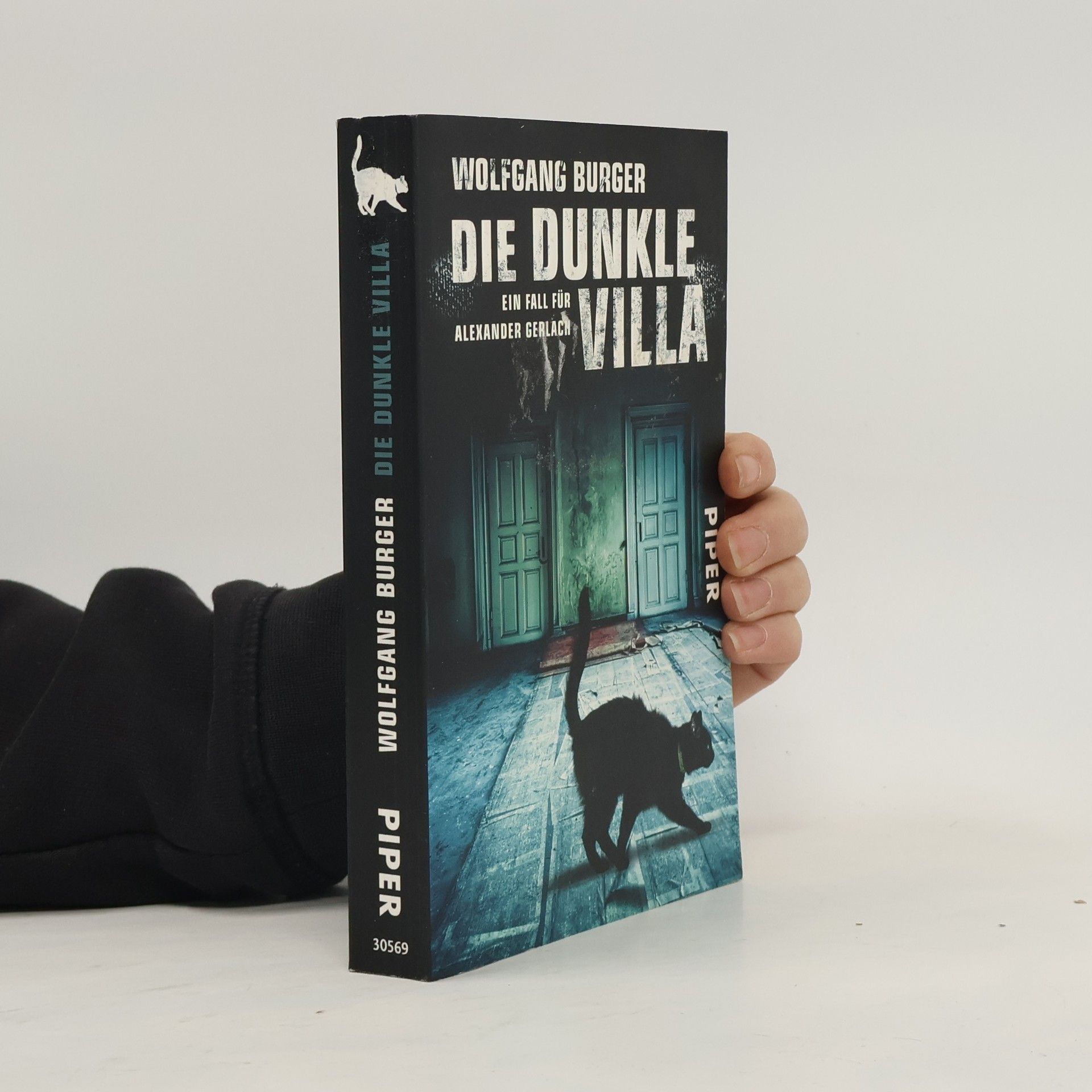 Wolfgang Burger Die dunkle Villa