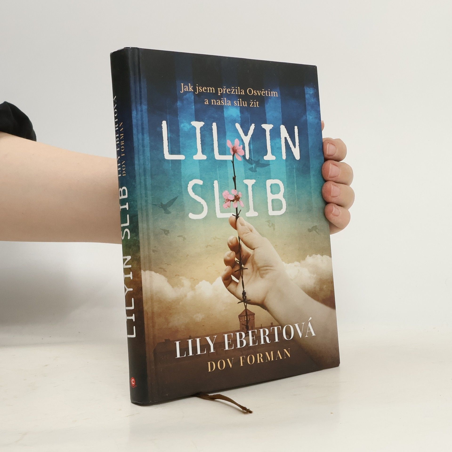 Lily Ebert Lilyin slib