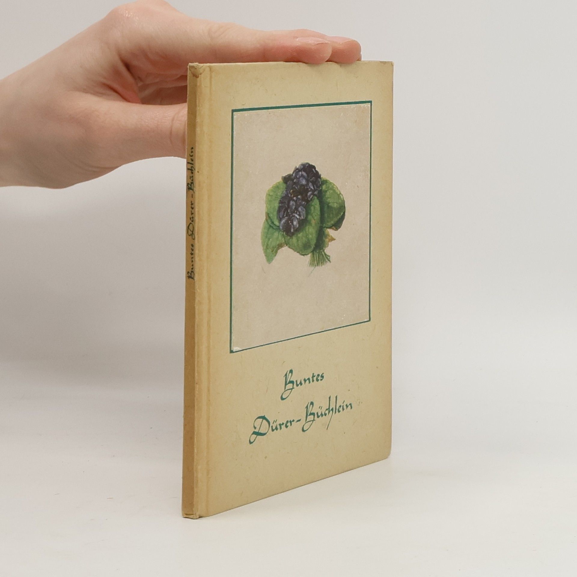 Albrecht Dürer Buntes Dürerbüchlein