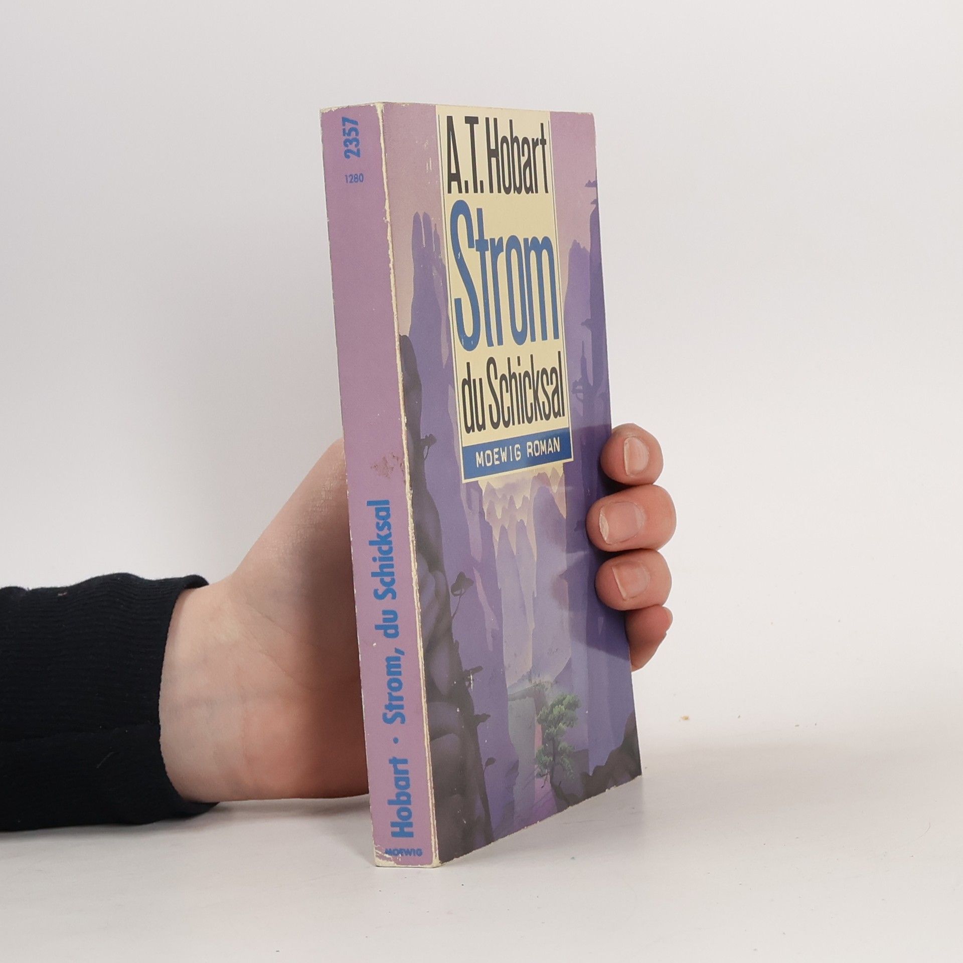 Alice Tisdale Hobart Strom, du Schicksal