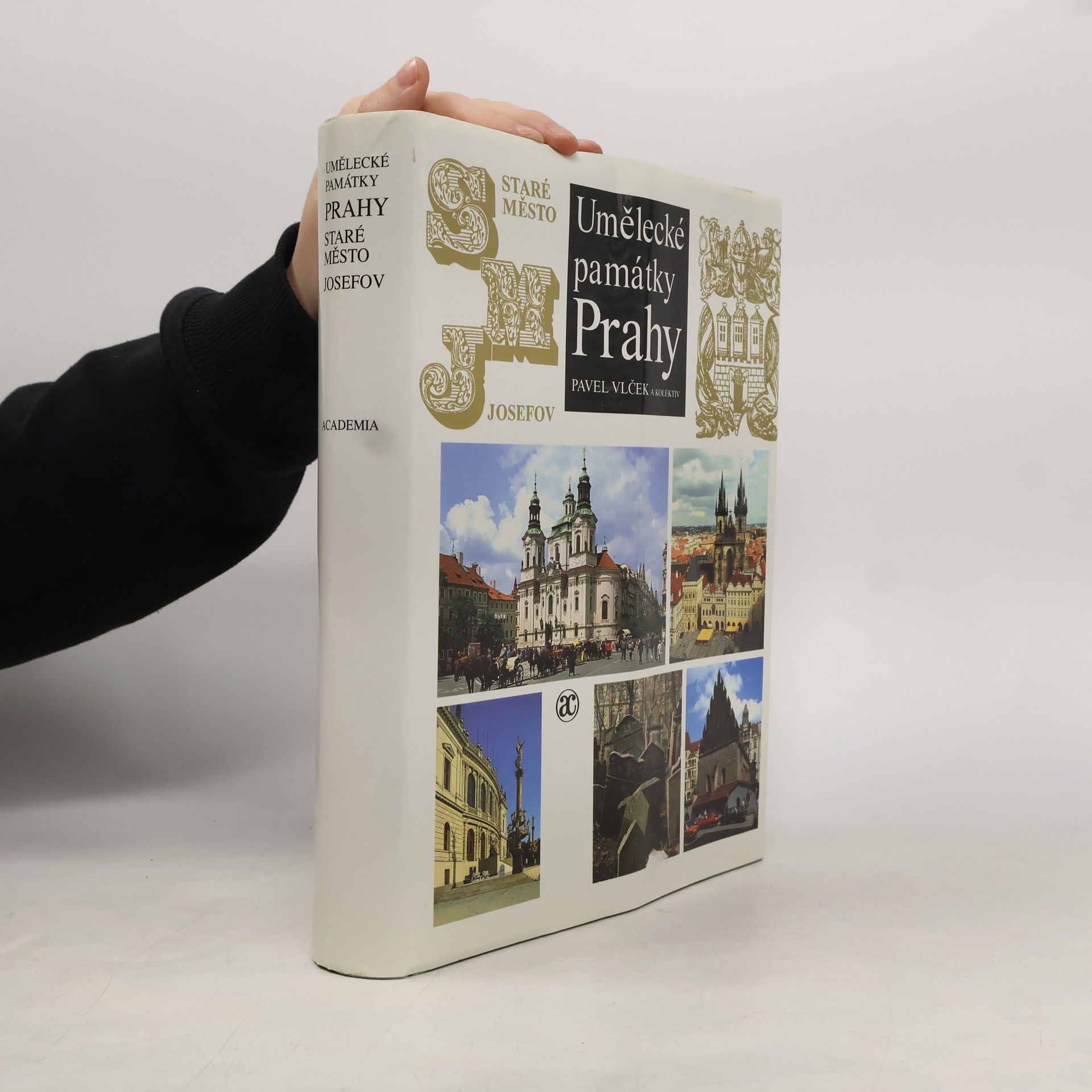 Pavel Vlček Umělecké památky Prahy. Staré město - Josefov.