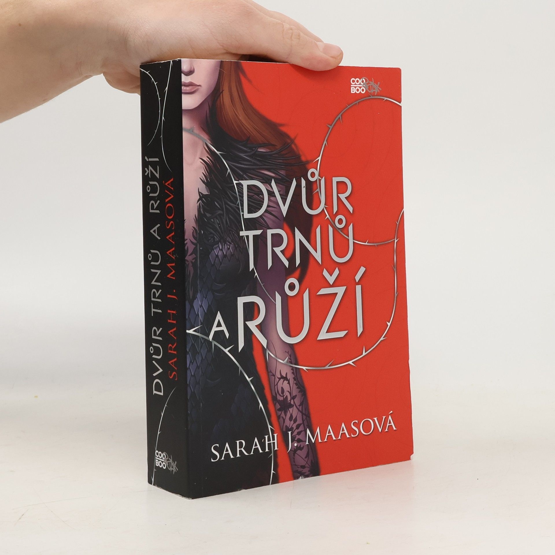 Sarah J. Maas Dvůr trnů a růží