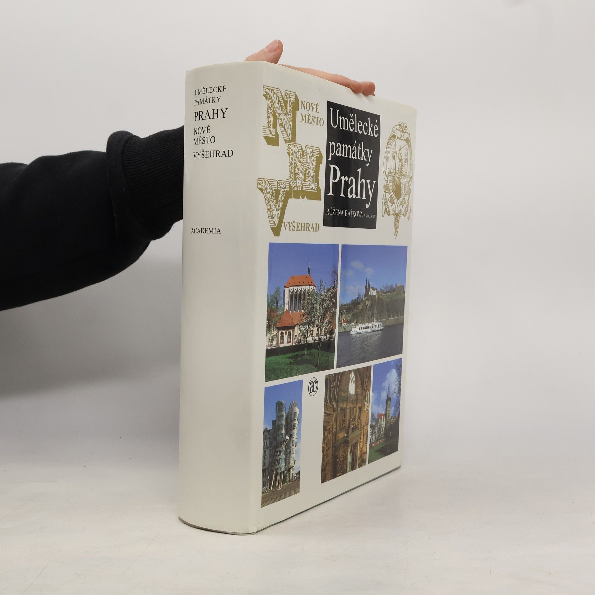 Umělecké památky Prahy. Nové Město, Vyšehrad, Vinohrady