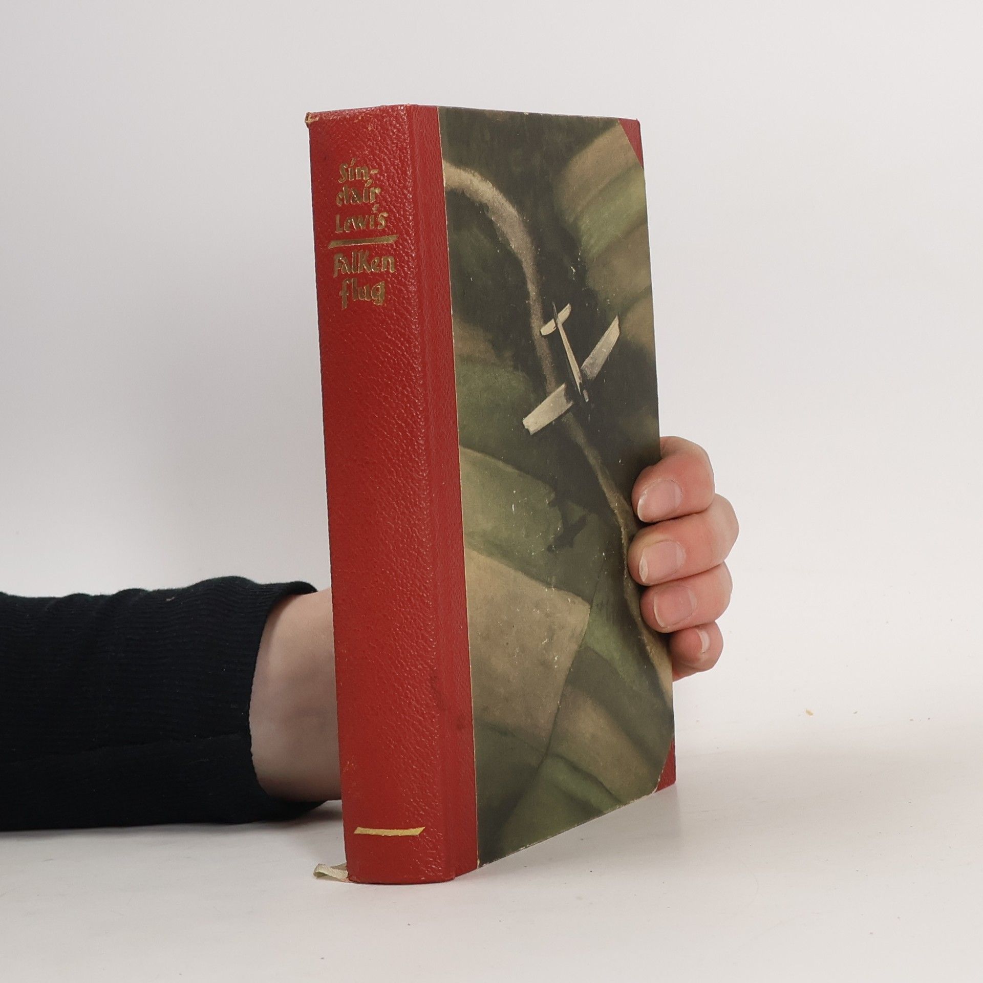 Sinclair Lewis Falkenflug