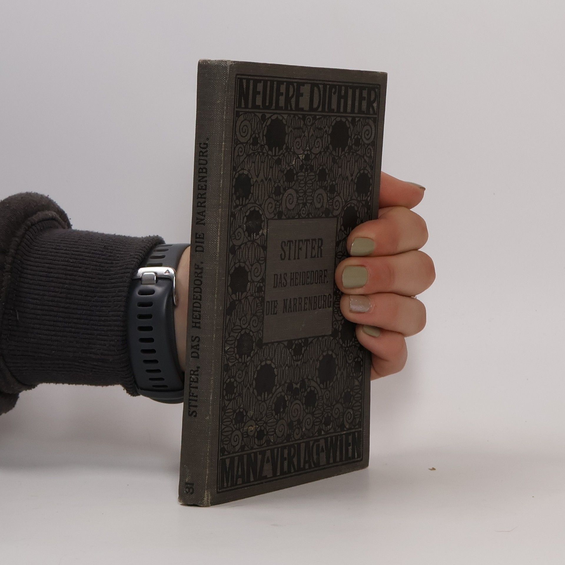 Adalbert Stifter Das Heidedorf. Die Narrenburg