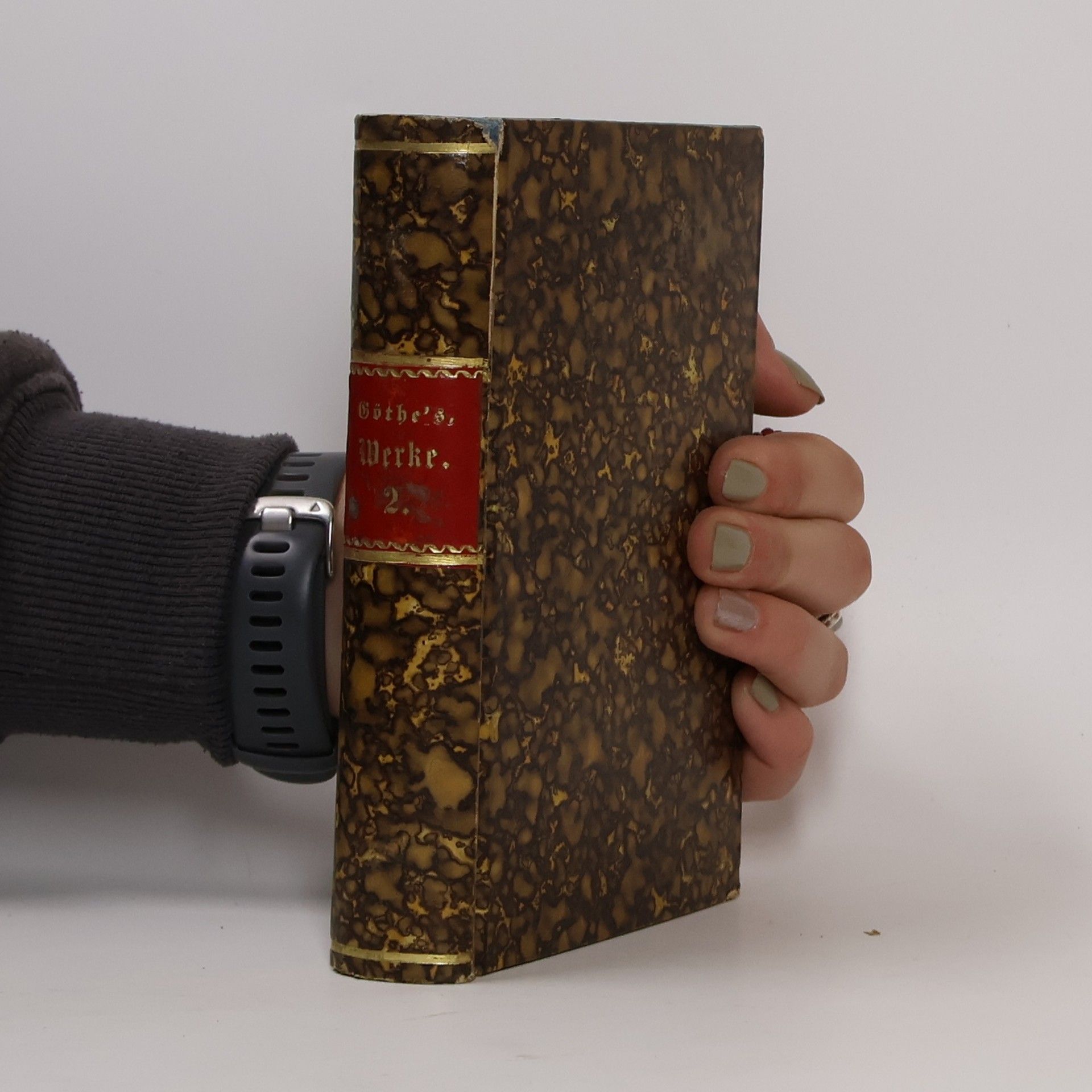 Johann Wolfgang von Goethe Goethe's Werke 2