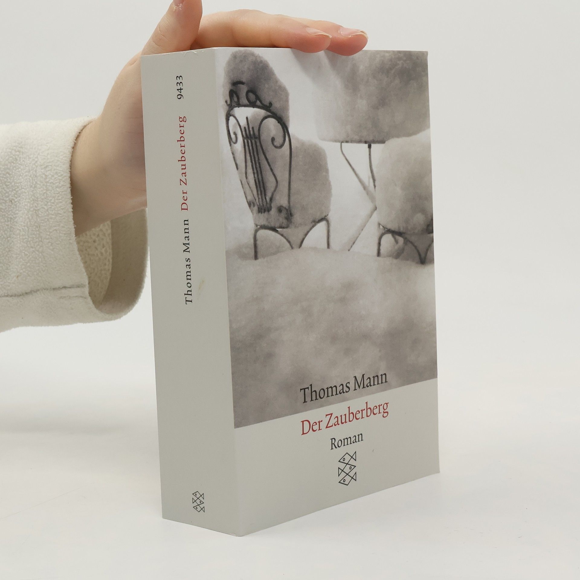 Thomas Mann Der Zauberberg