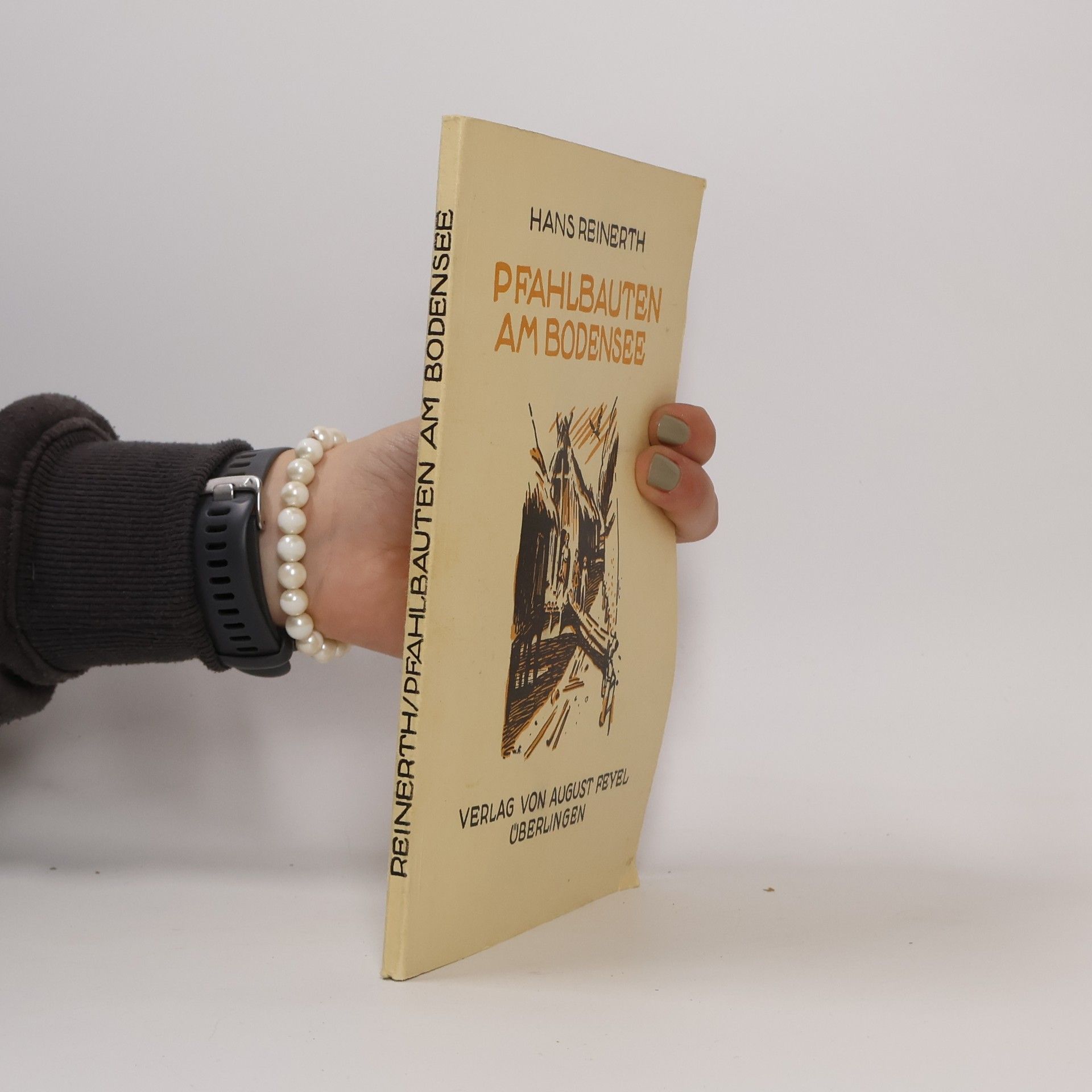 Pfahlbauten am Bodensee