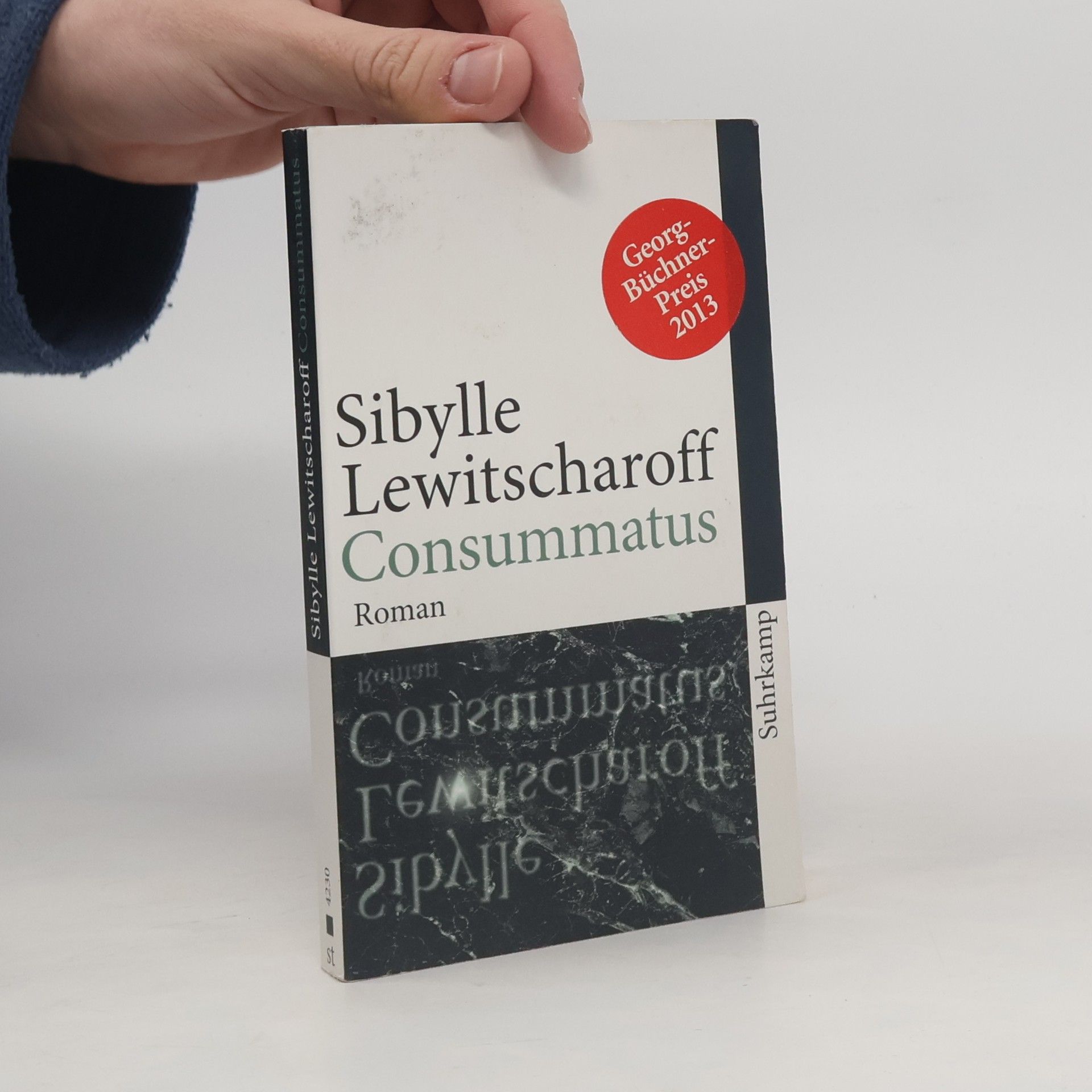 Sibylle Lewitscharoff Consummatus