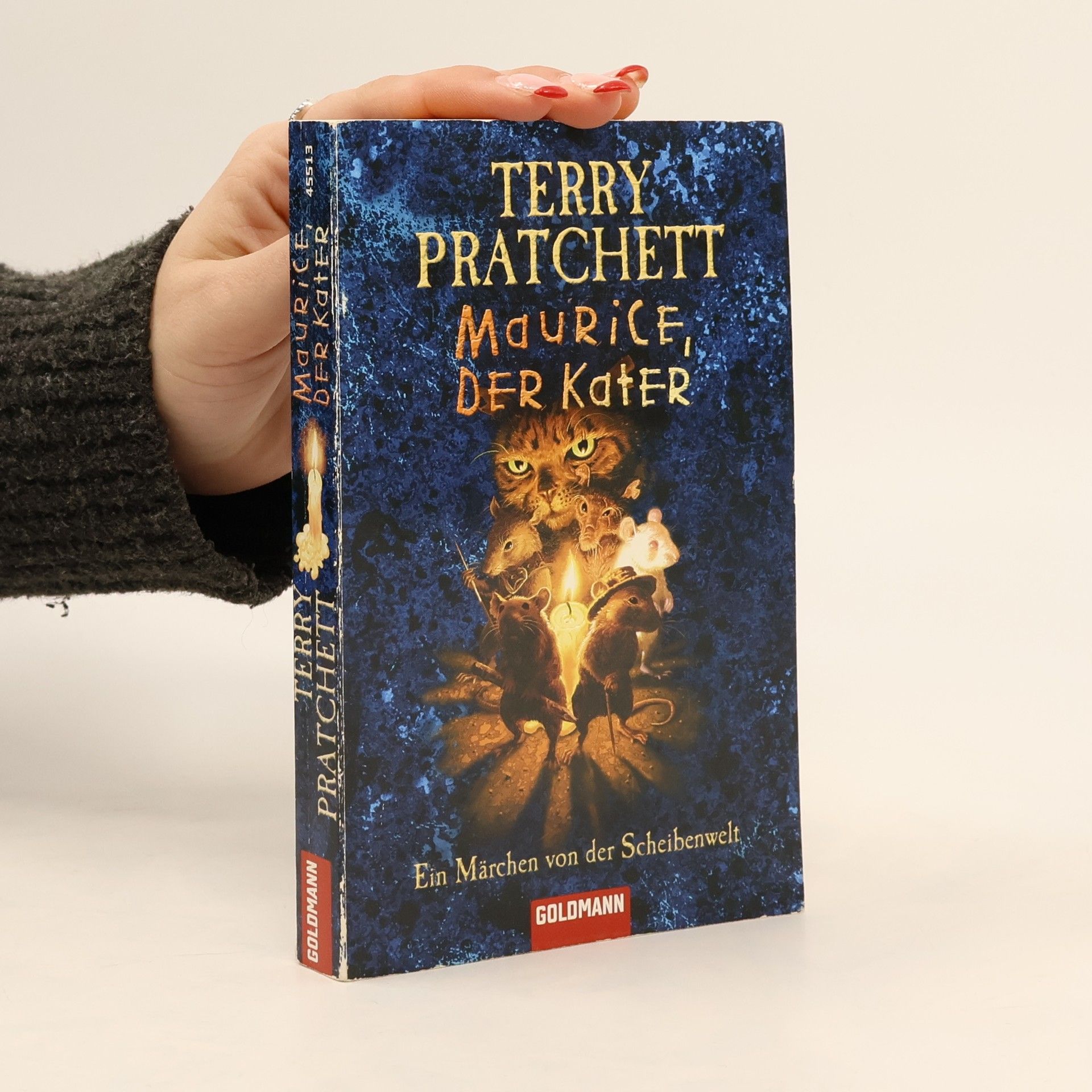 Terry Pratchett Maurice, der Kater