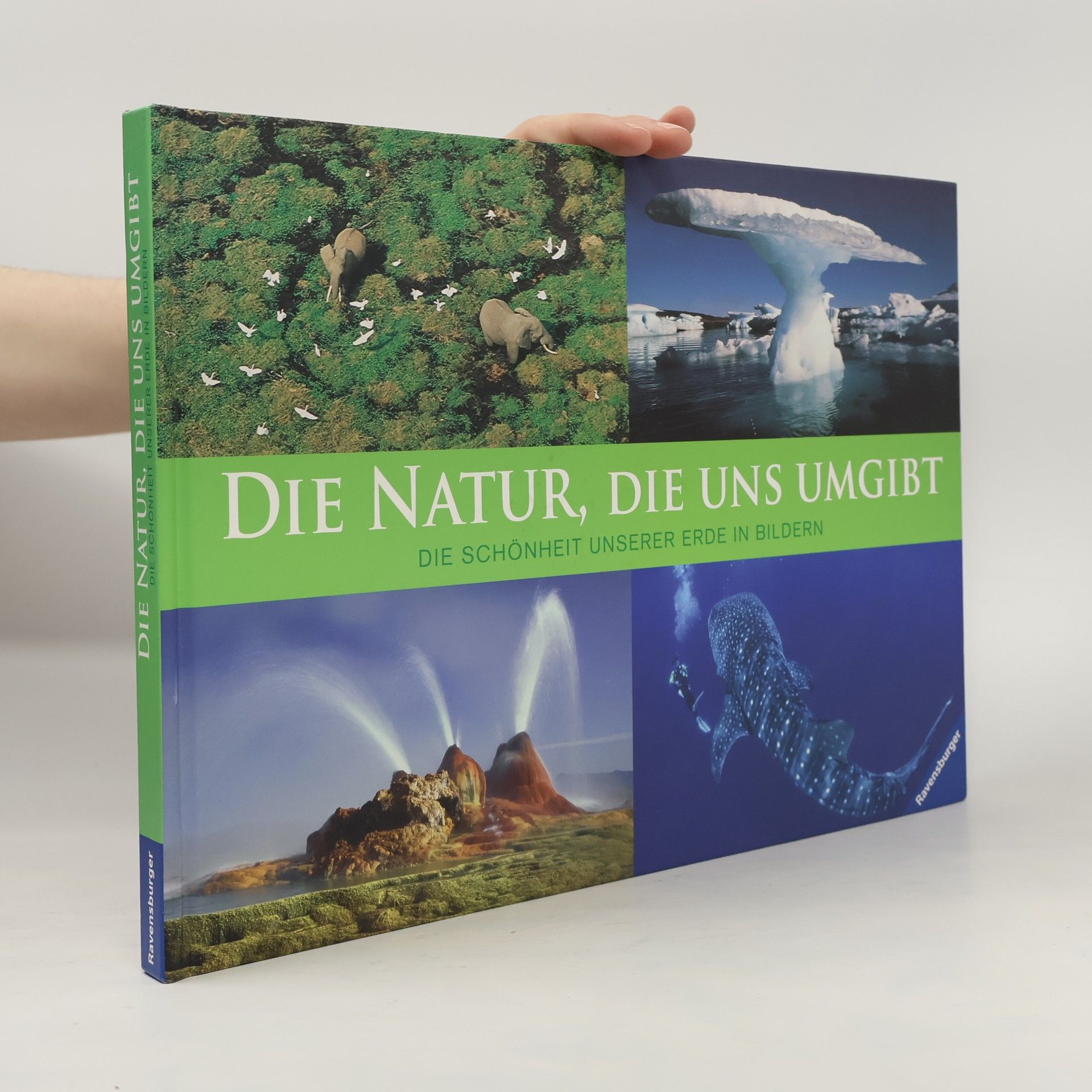 Yvonne Stein Die Natur, die uns umgibt