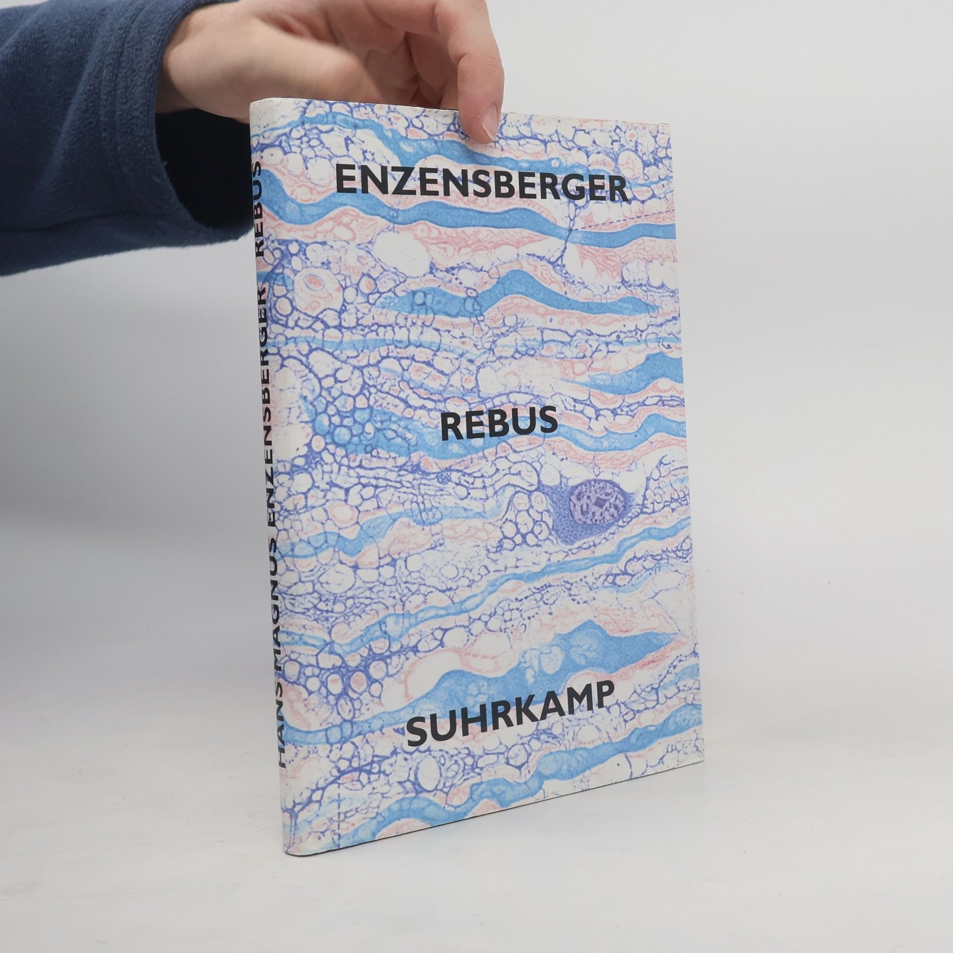 Hans Magnus Enzensberger Rebus