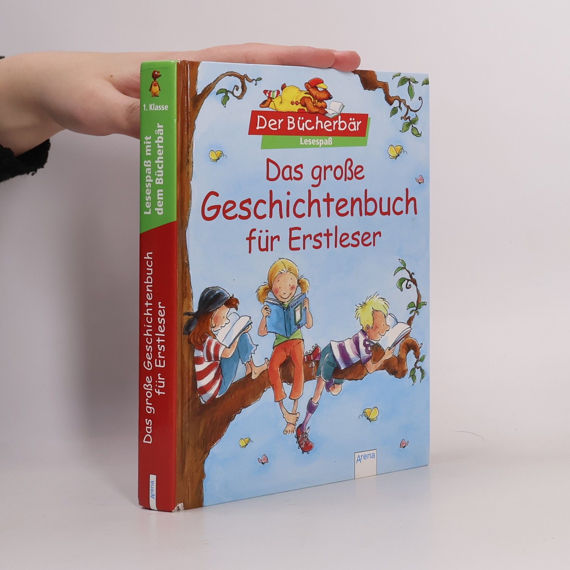 Autorenkollektiv Das große Geschichtenbuch für Erstleser