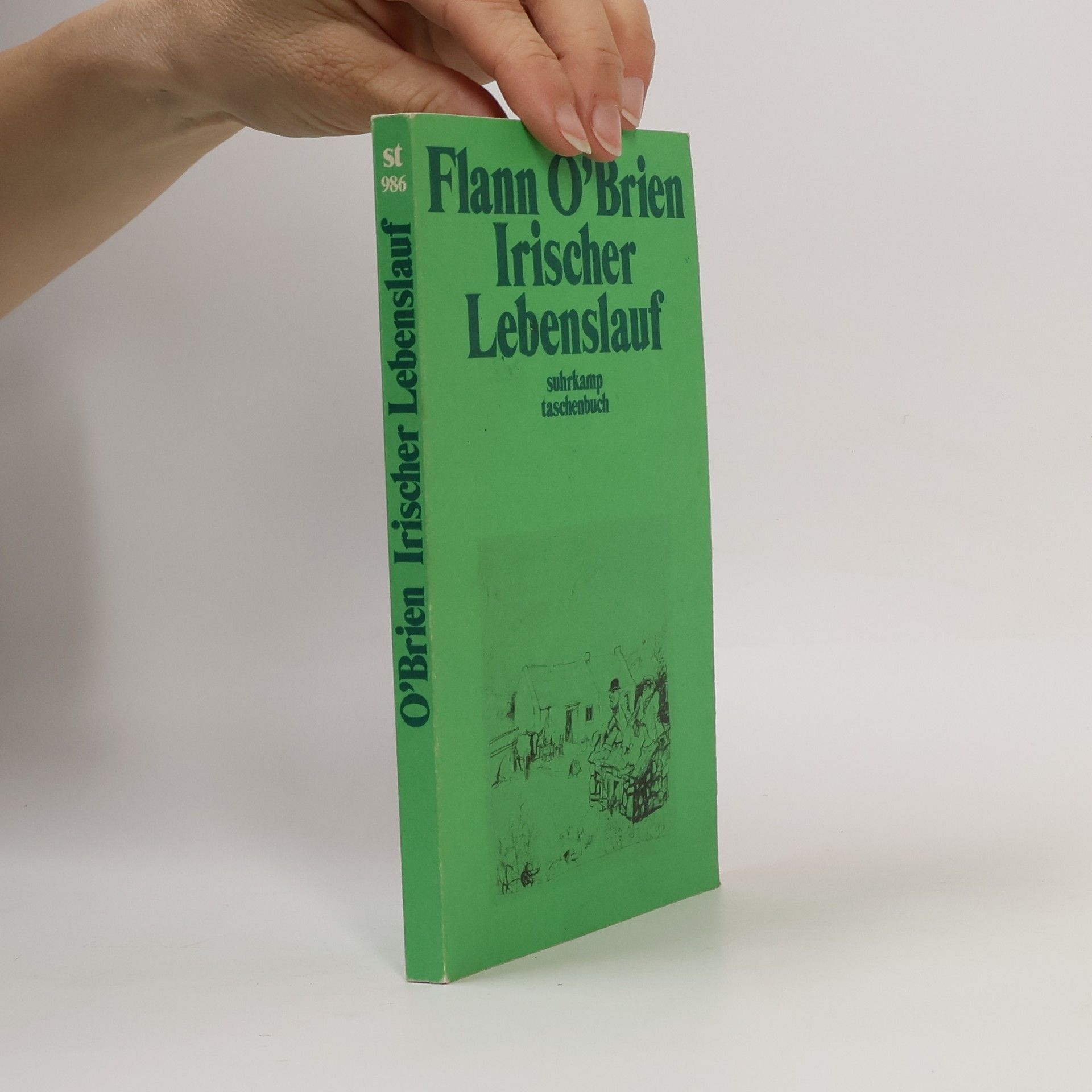 Flann O. Brien Irischer Lebenslauf