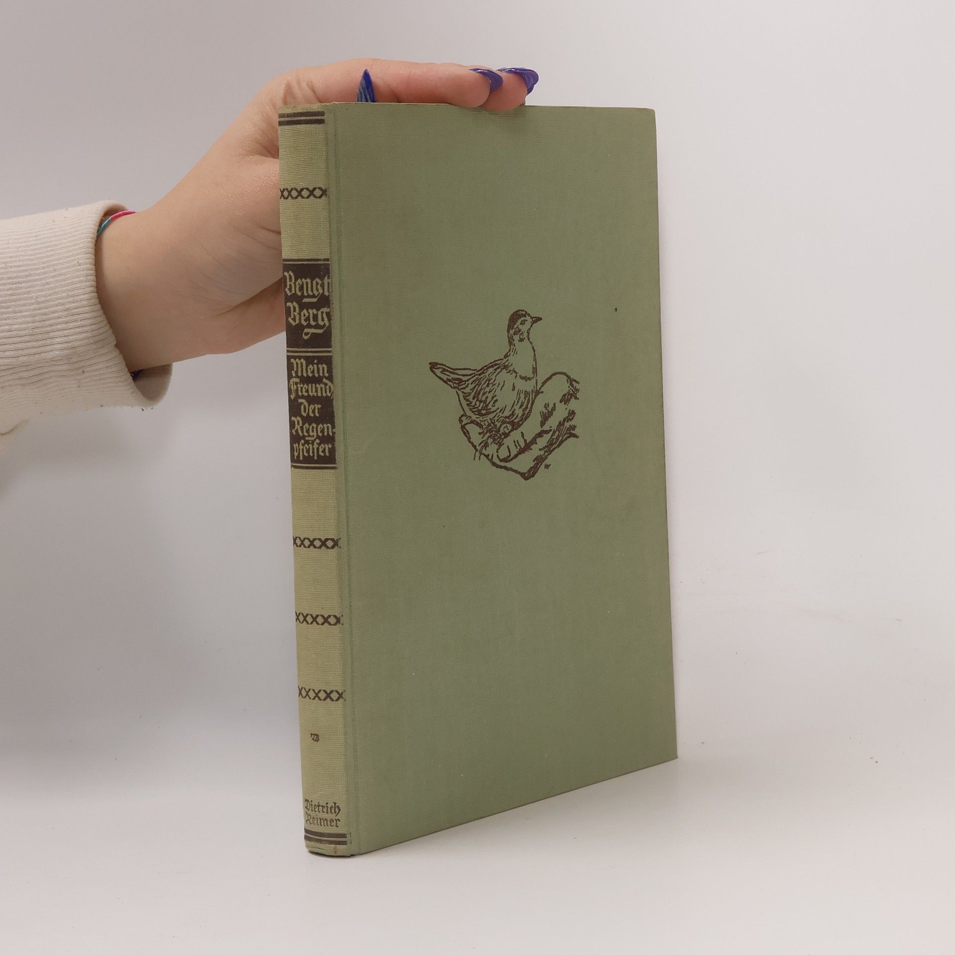 Bengt Berg Mein Freund der Regenpfeifer