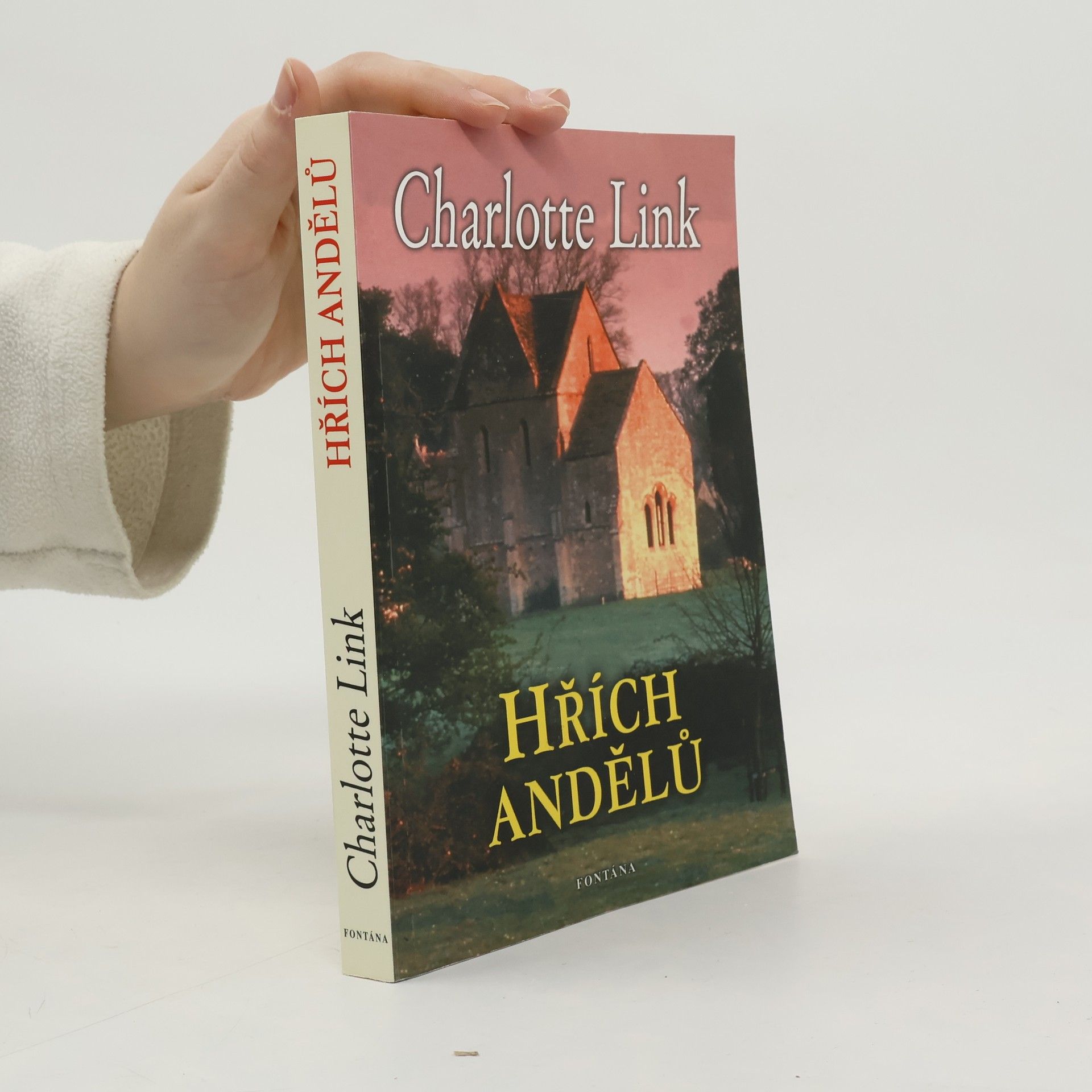 Charlotte Link Hřích andělů