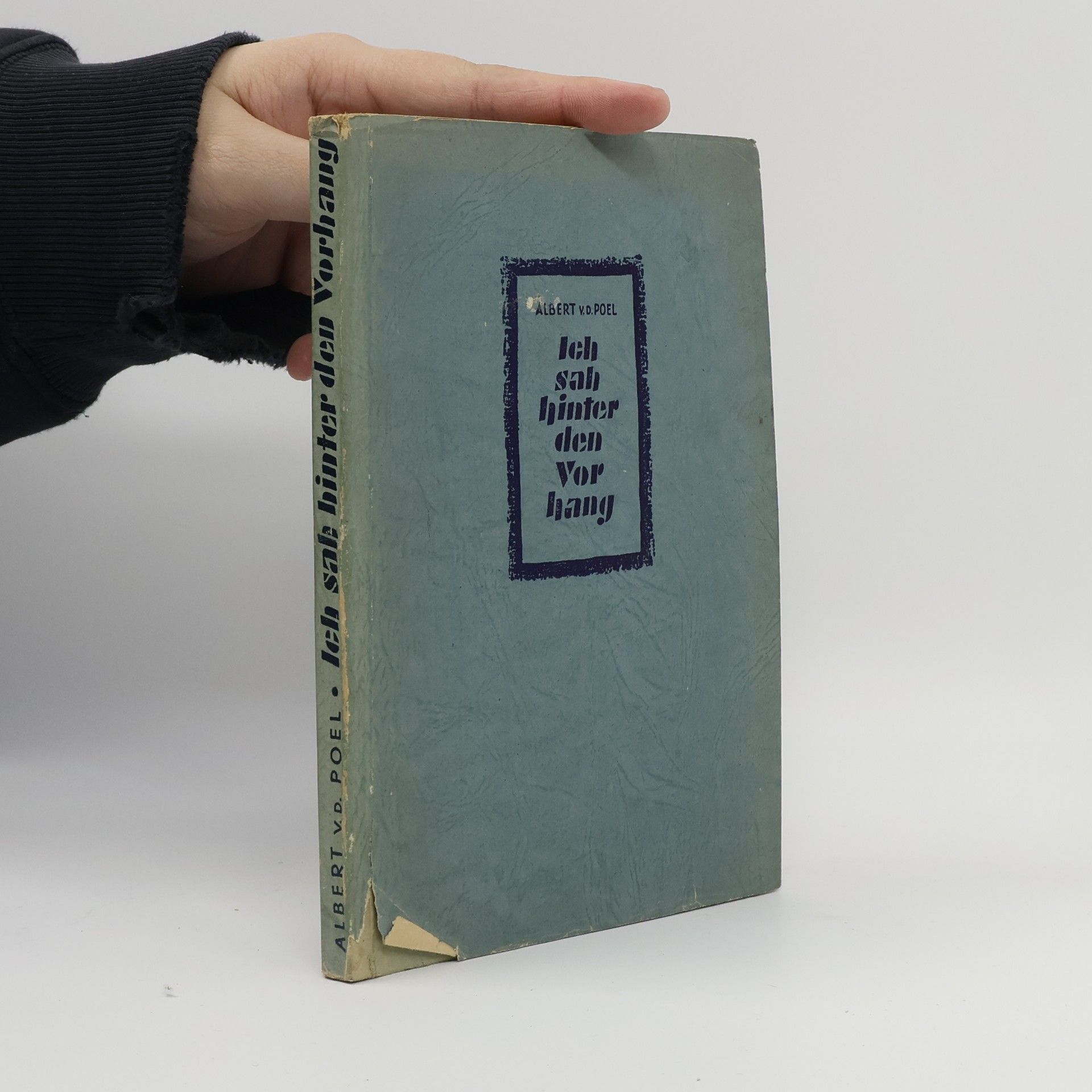 Albert van de Poel Ich sah hinter den Vorhang