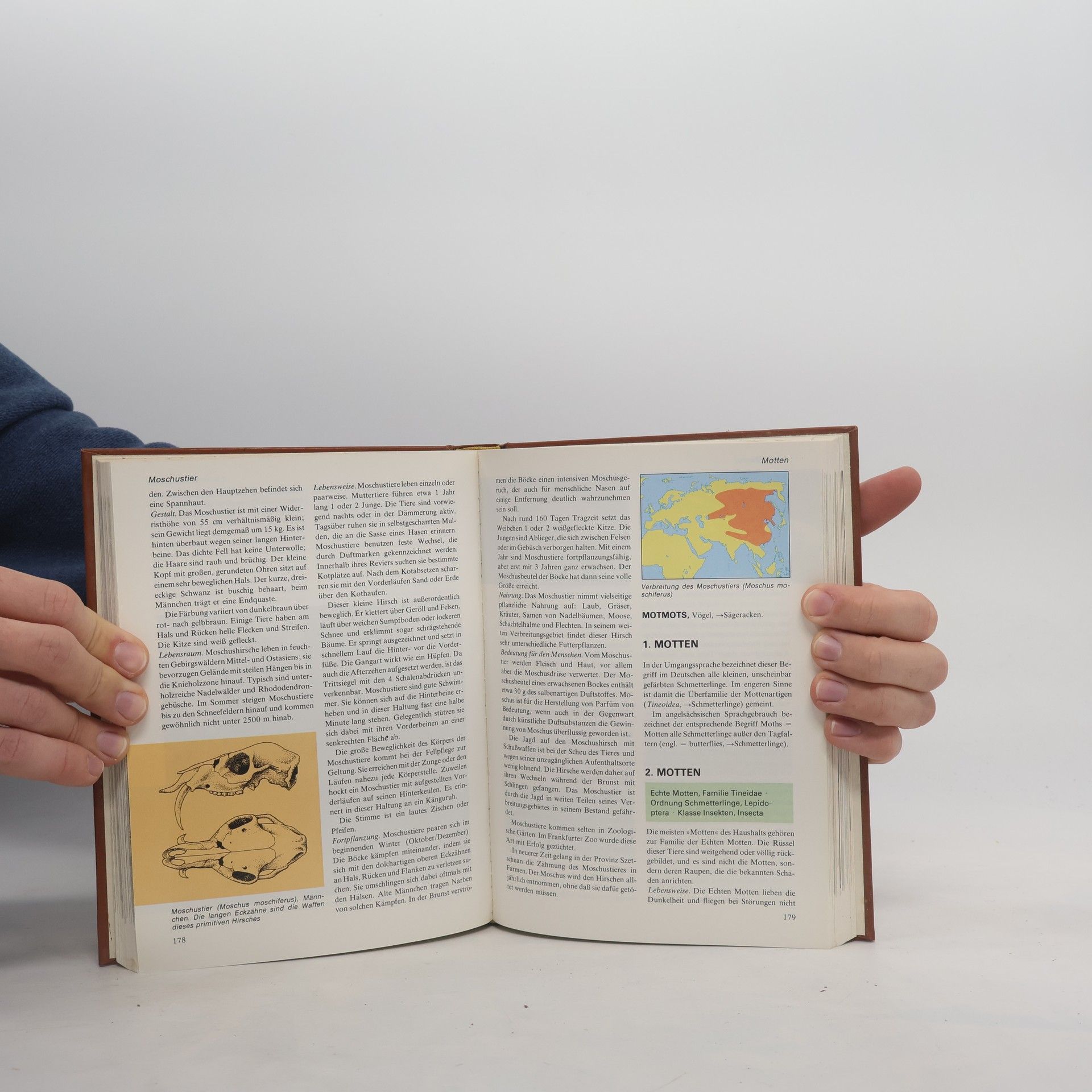 Autorenkollektiv Das moderne Tierlexikon 7, Luc-Olm