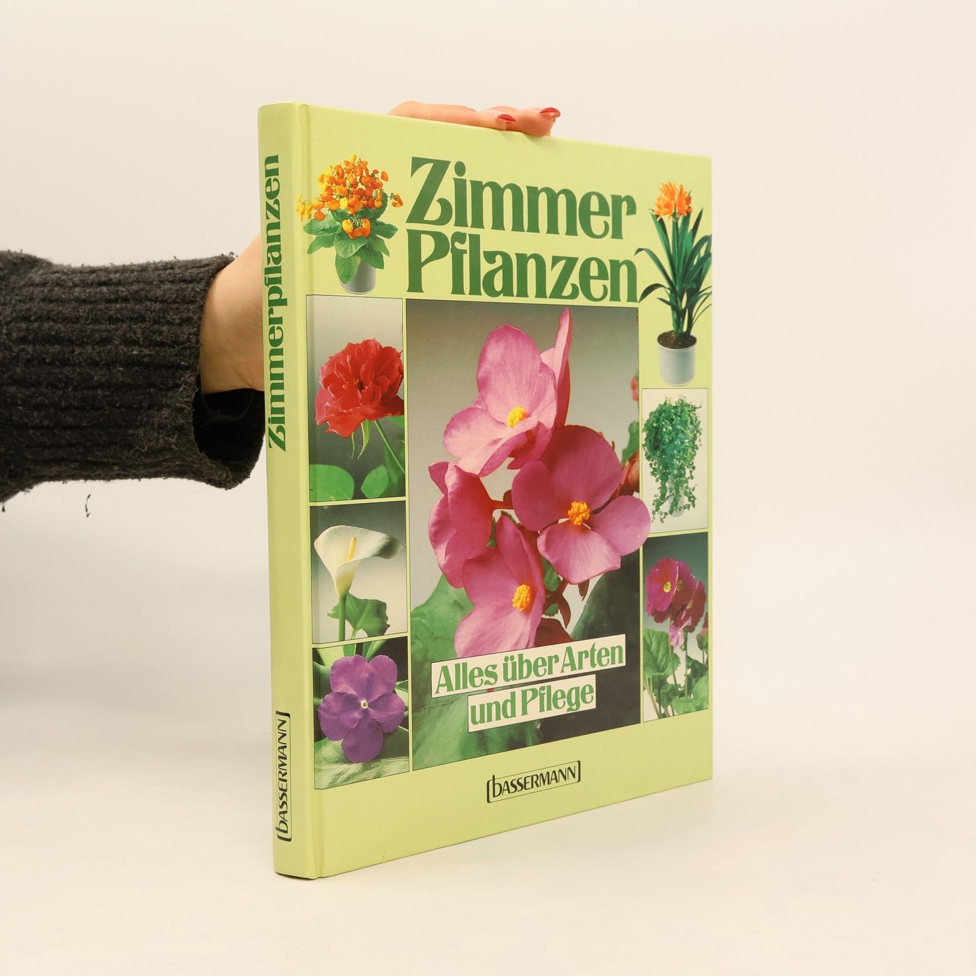 Notger Kiesel Zimmerpflanzen