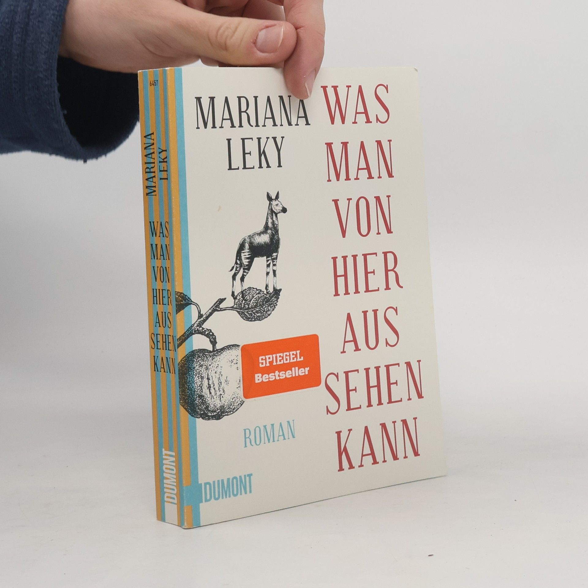 Mariana Leky Was man von hier aus sehen kann