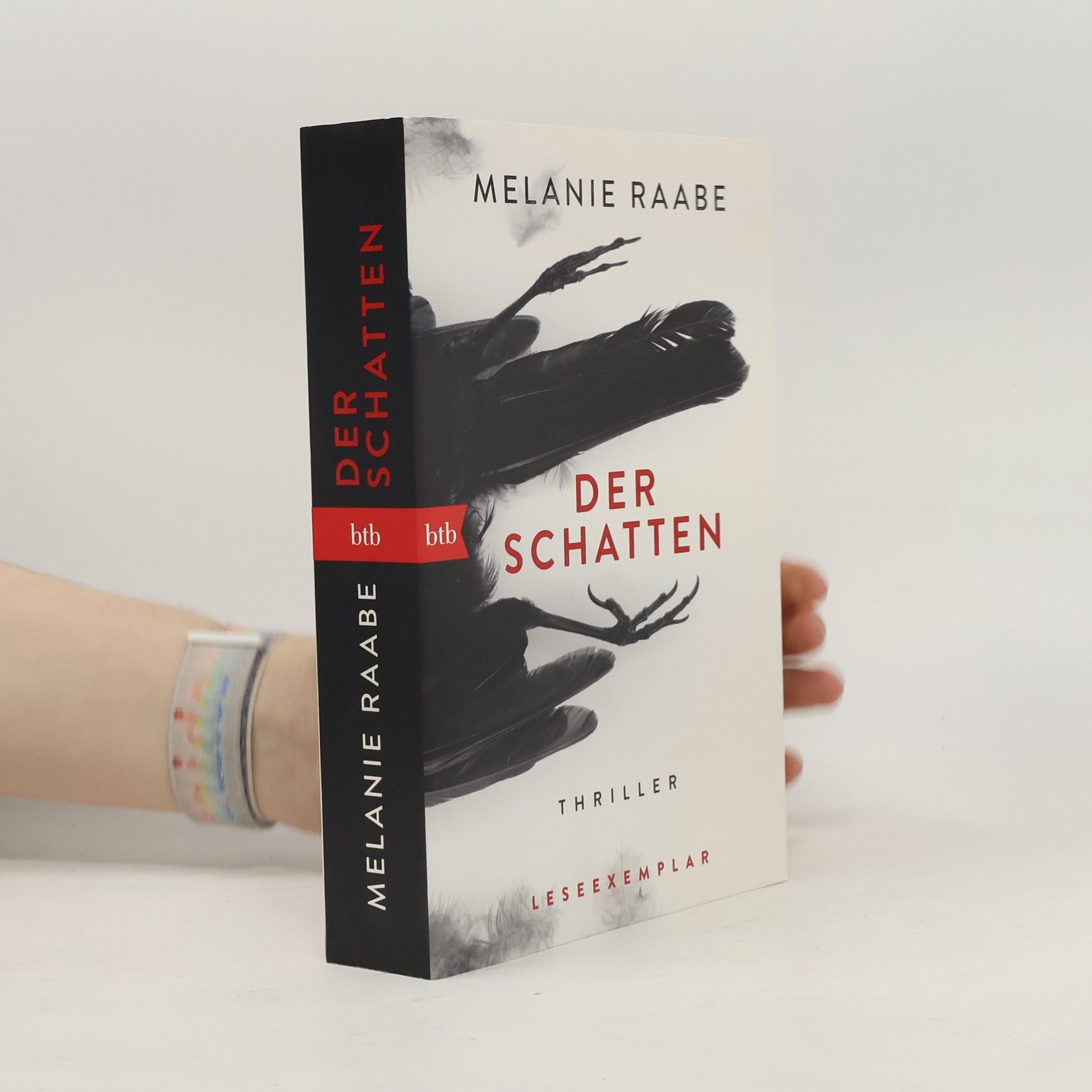 Melanie Raabe Der Schatten