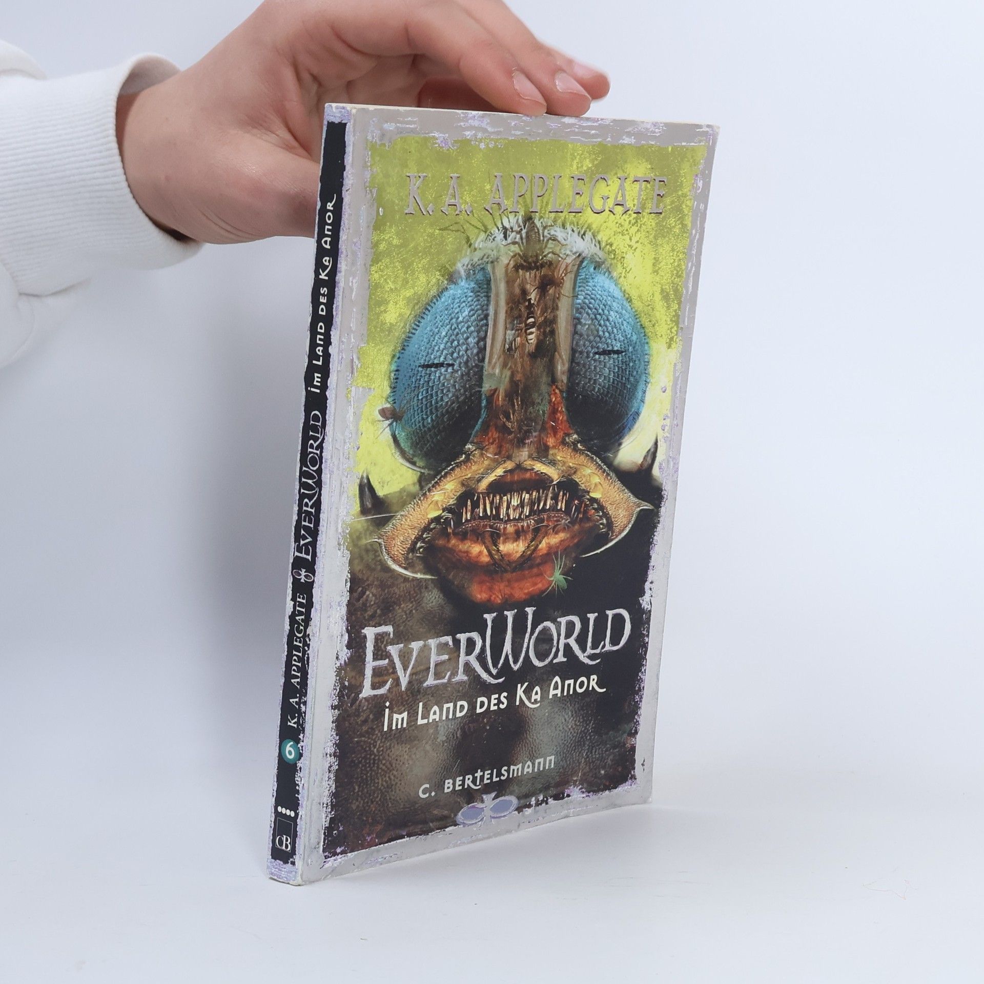Everworld im Land des Ka Anor