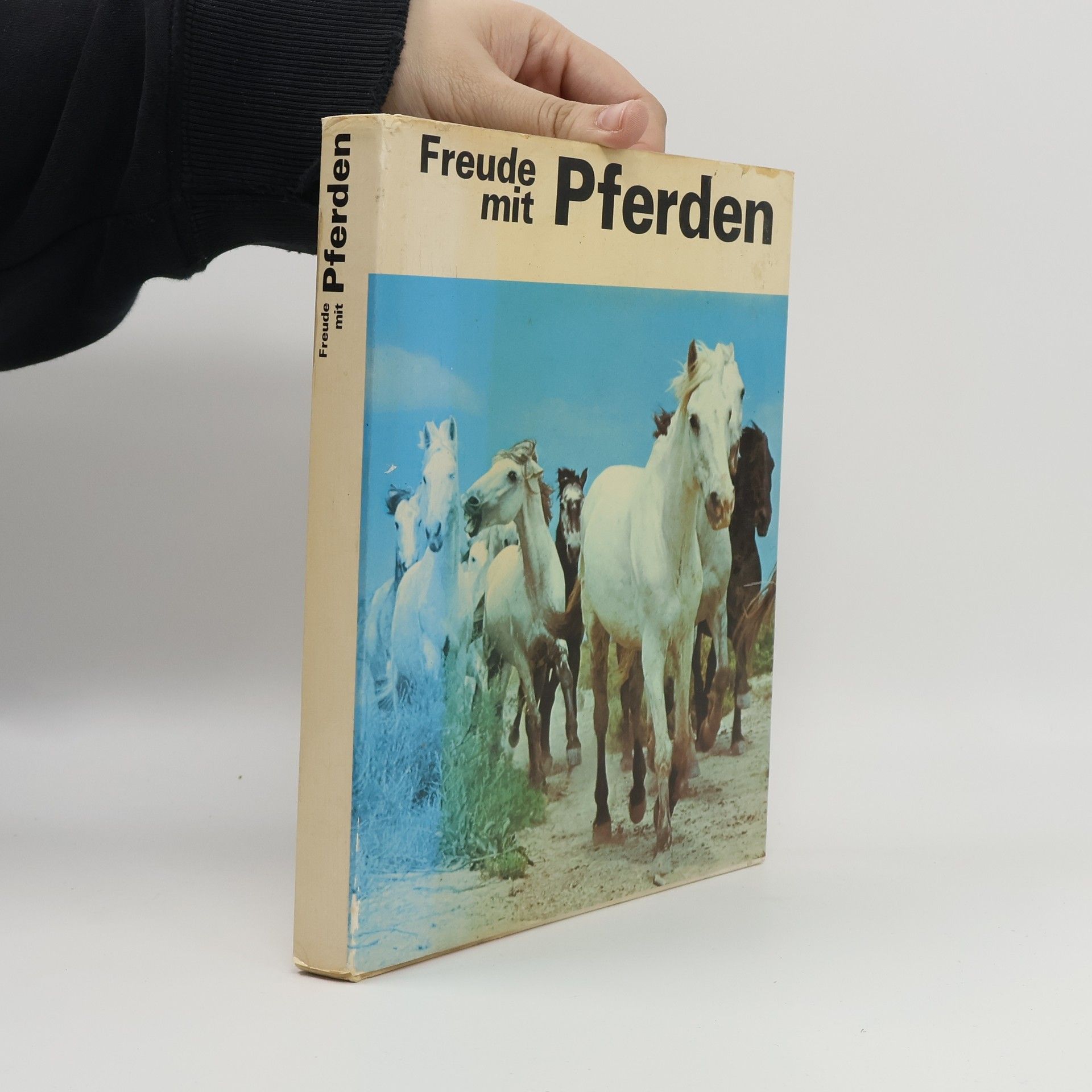 Evelyne Kolnberger Freude mit Pferden