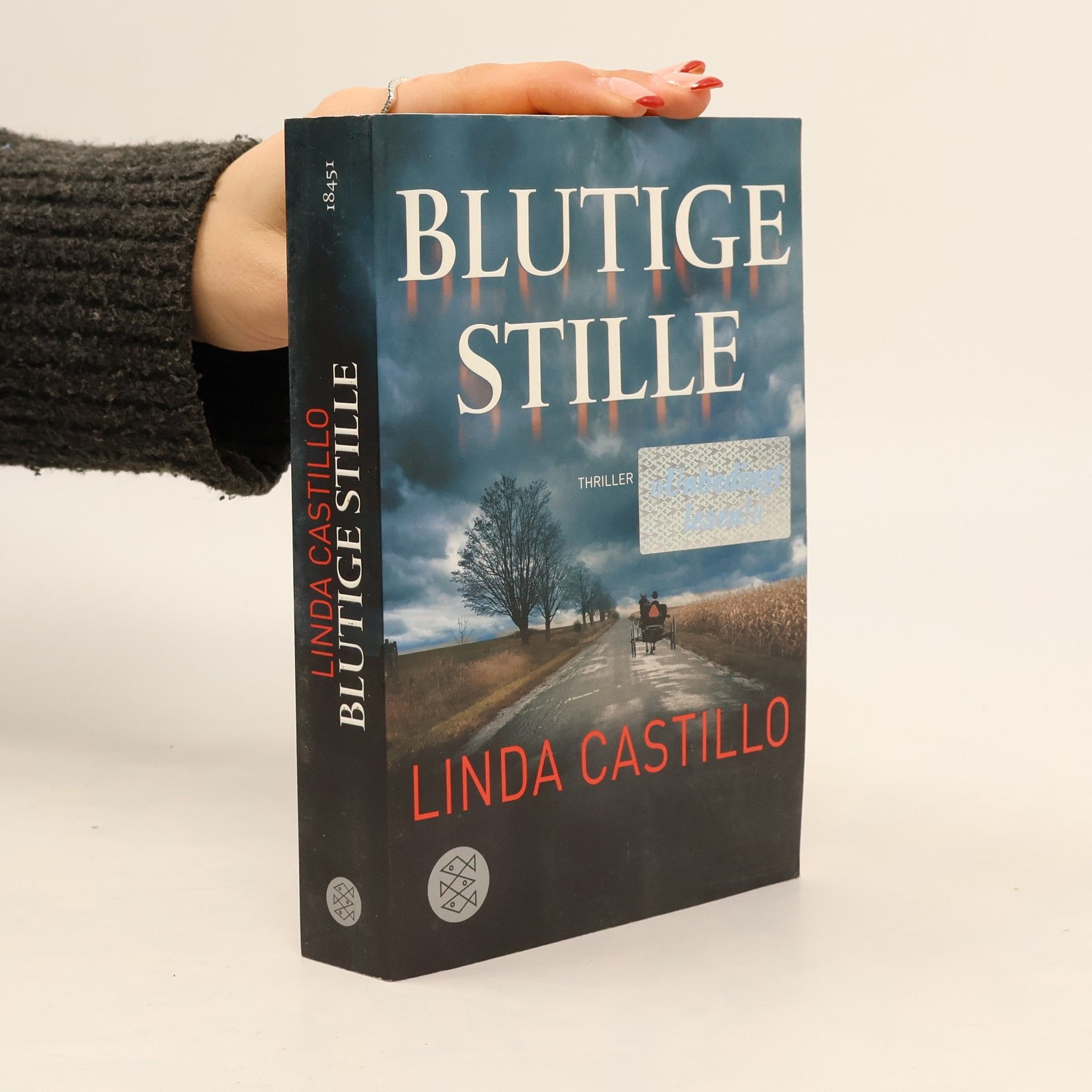 Linda Castillo Blutige Stille