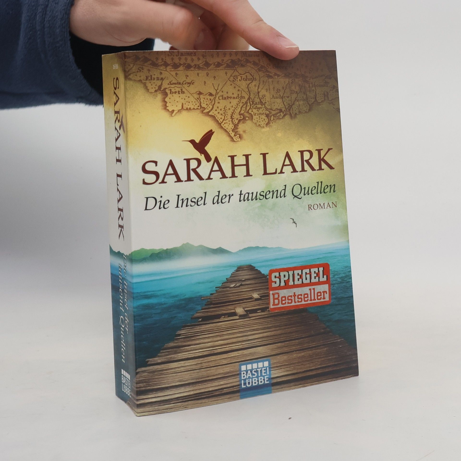 Christiane Gohl Die Insel der tausend Quellen