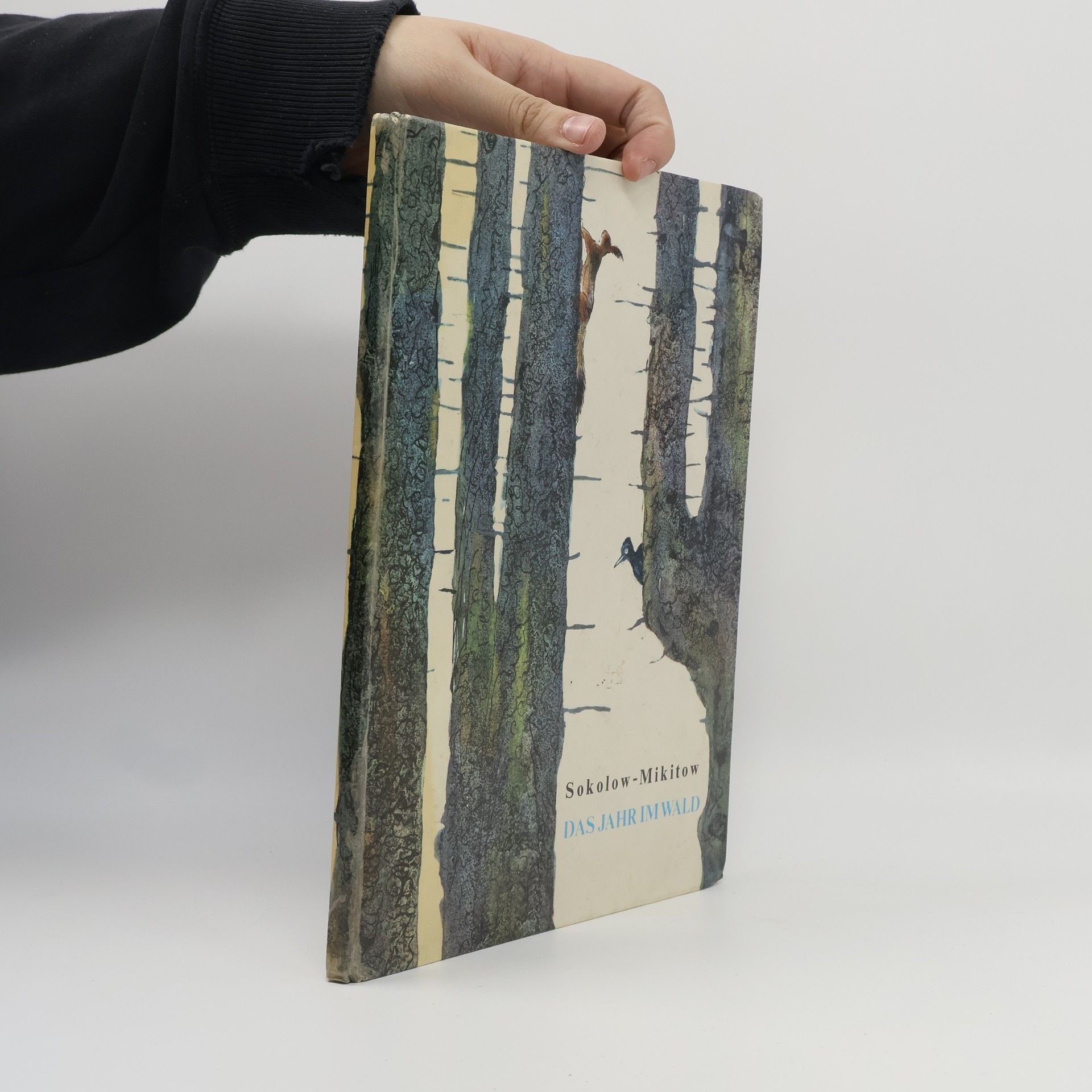 Ivan S. Sokolov-Mikitov Das Jahr im Wald