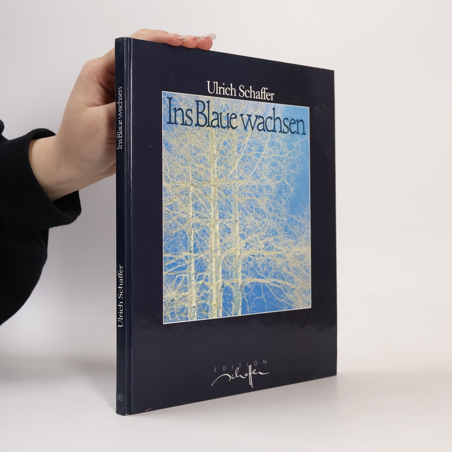 Ulrich Schaffer Ins Blaue wachsen