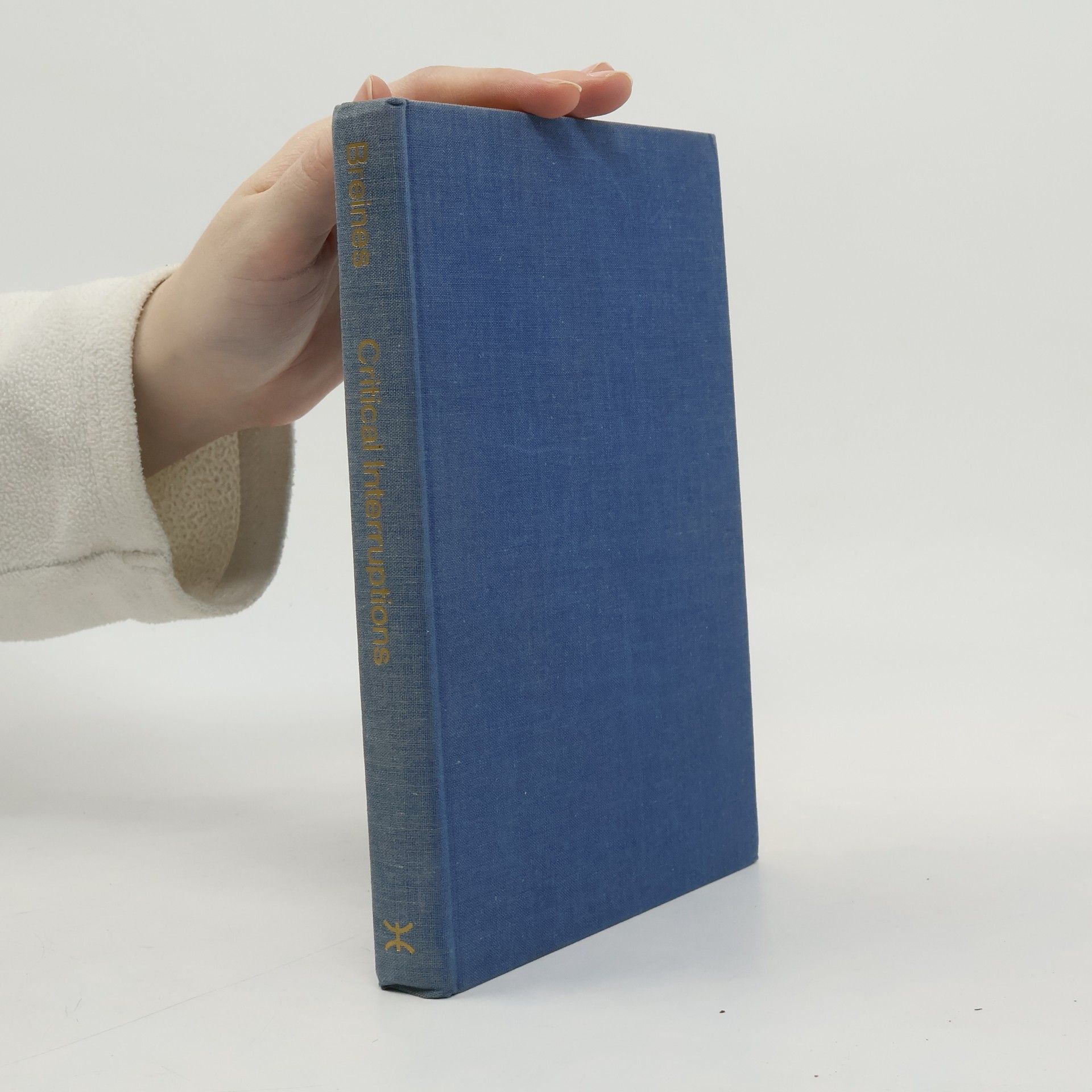 Paul Breines Critical Interruptions