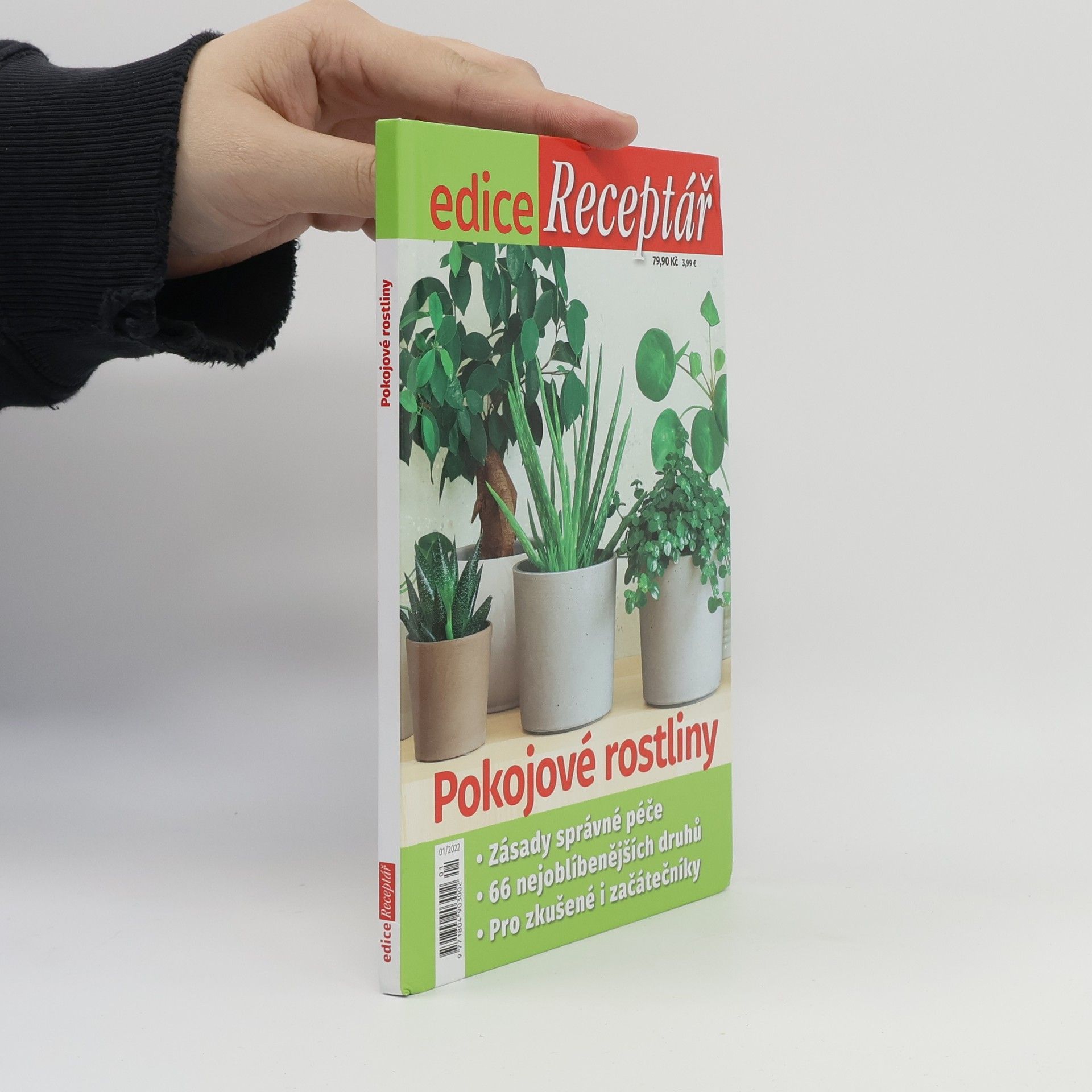 Jana Bucharová Pokojové rostliny