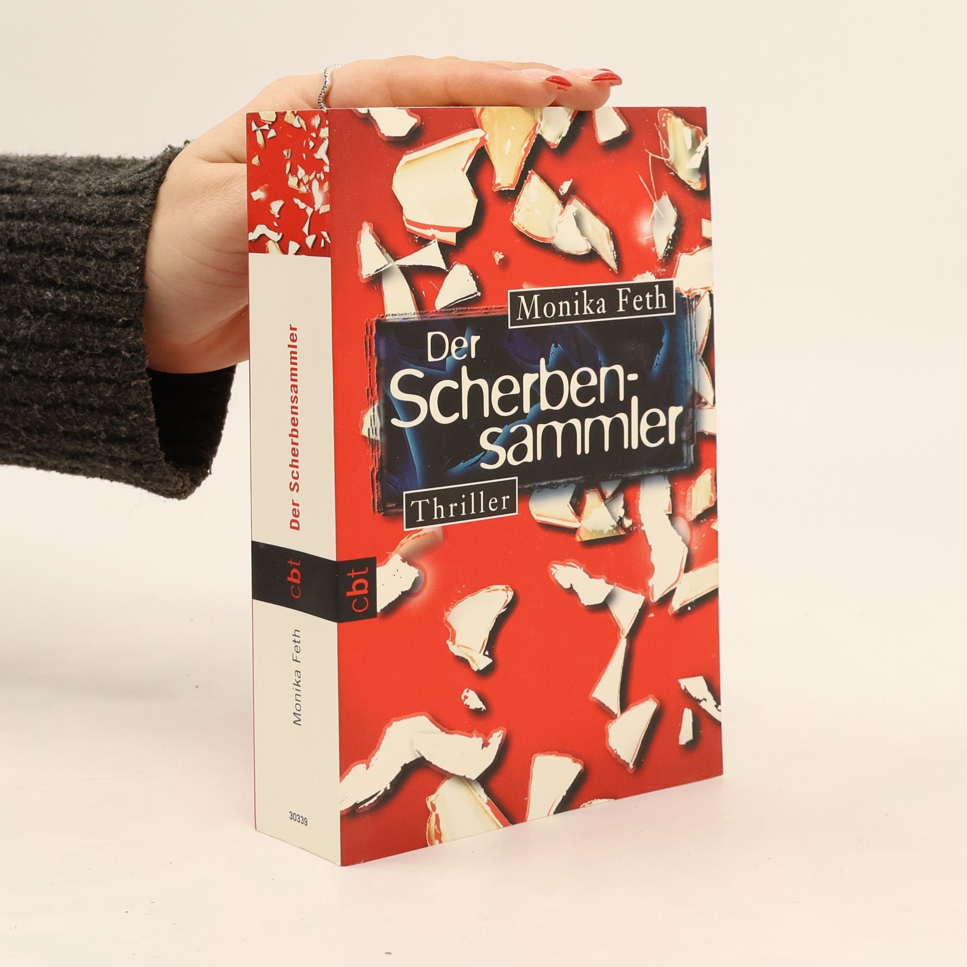 Monika Feth Der Scherbensammler