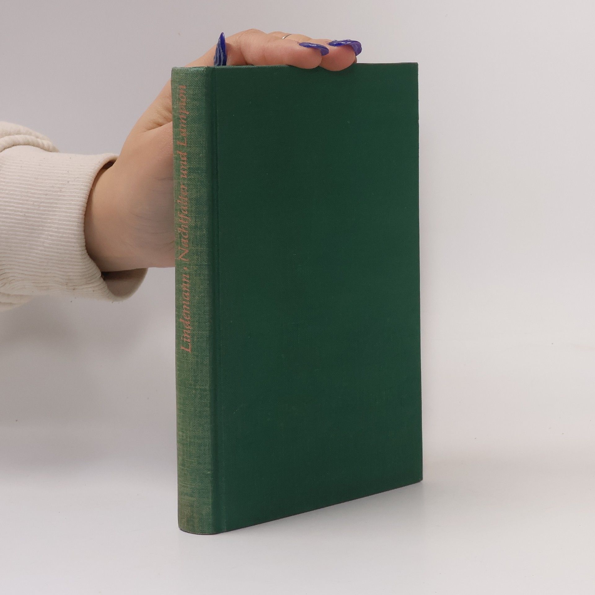 Nachtfalter und Lampion