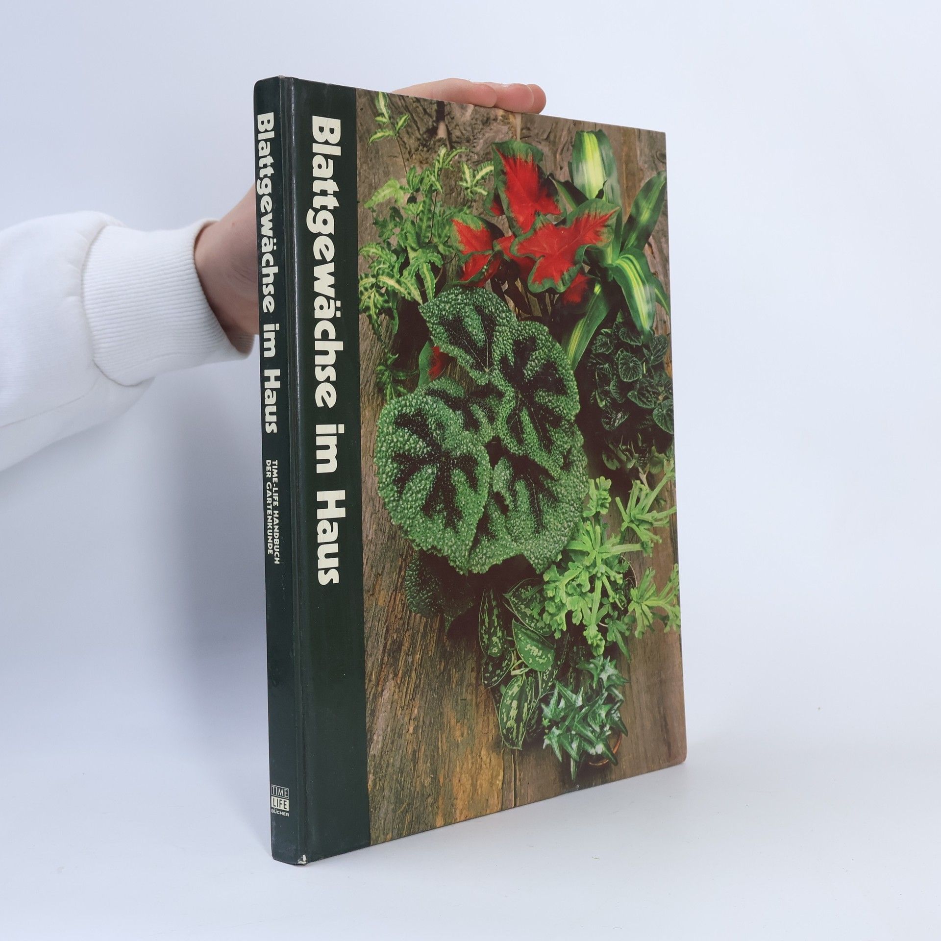 Various authors Blattgewächse im Haus