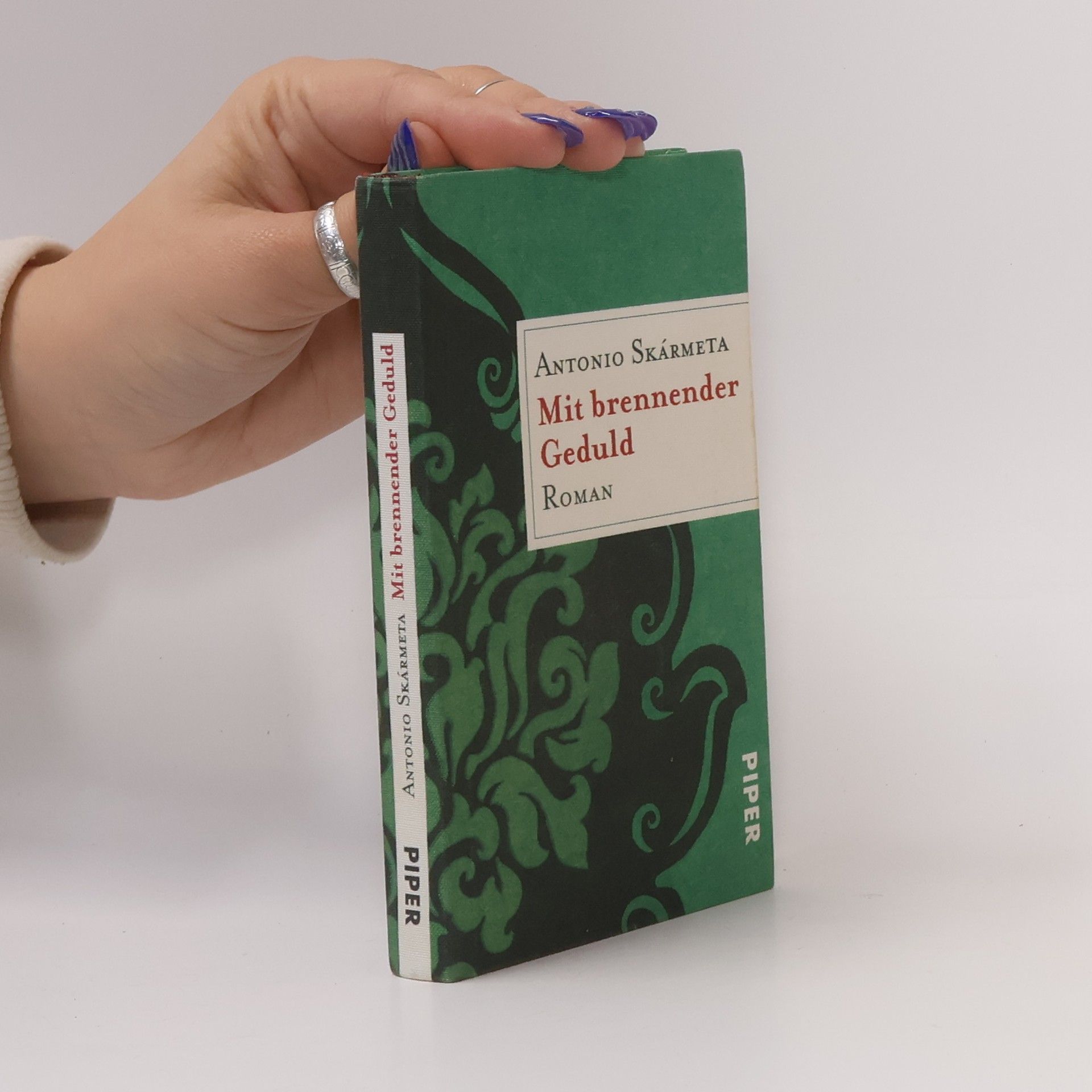 Antonio Skármeta Mit brennender Geduld