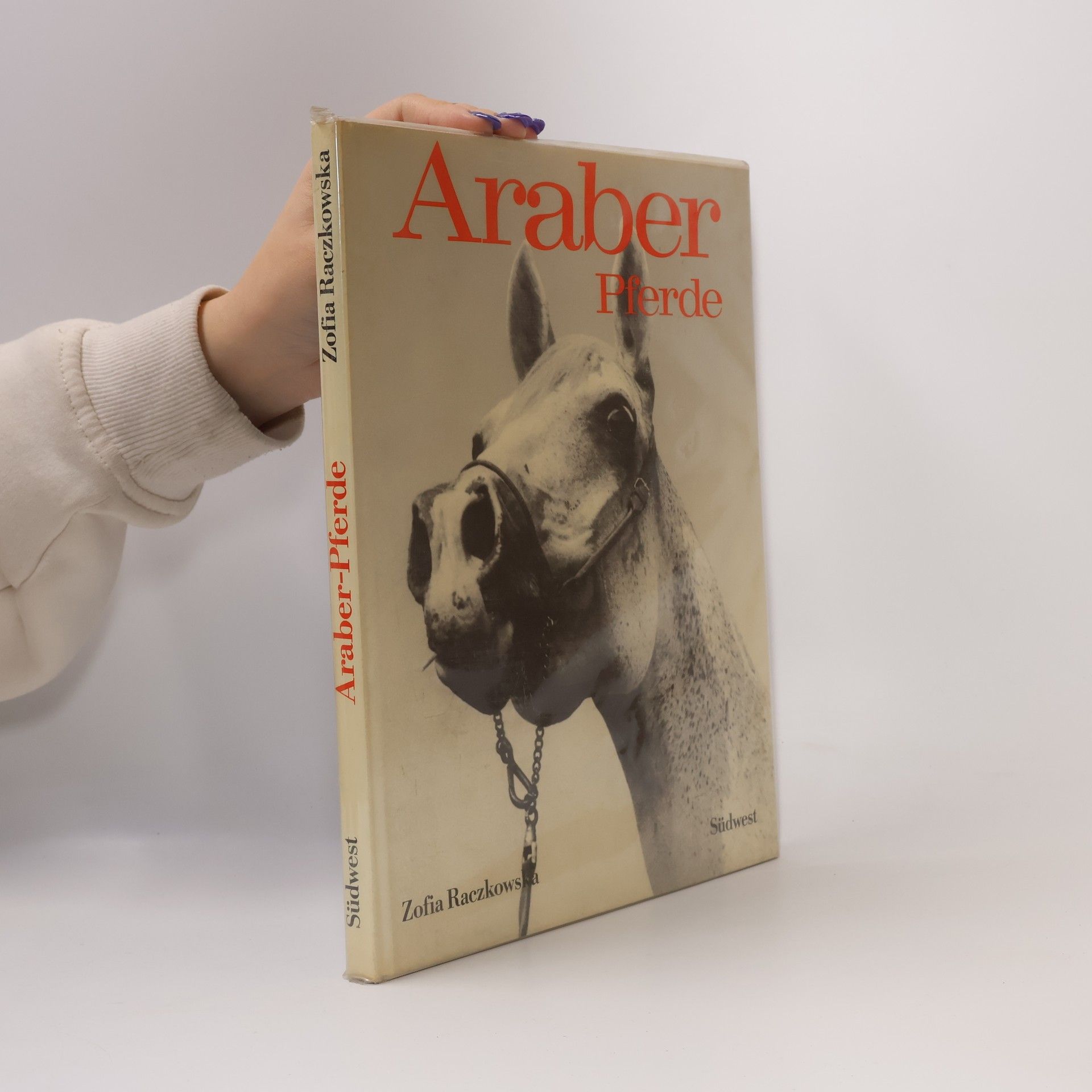 Zofia Raczkowska Araber-Pferde