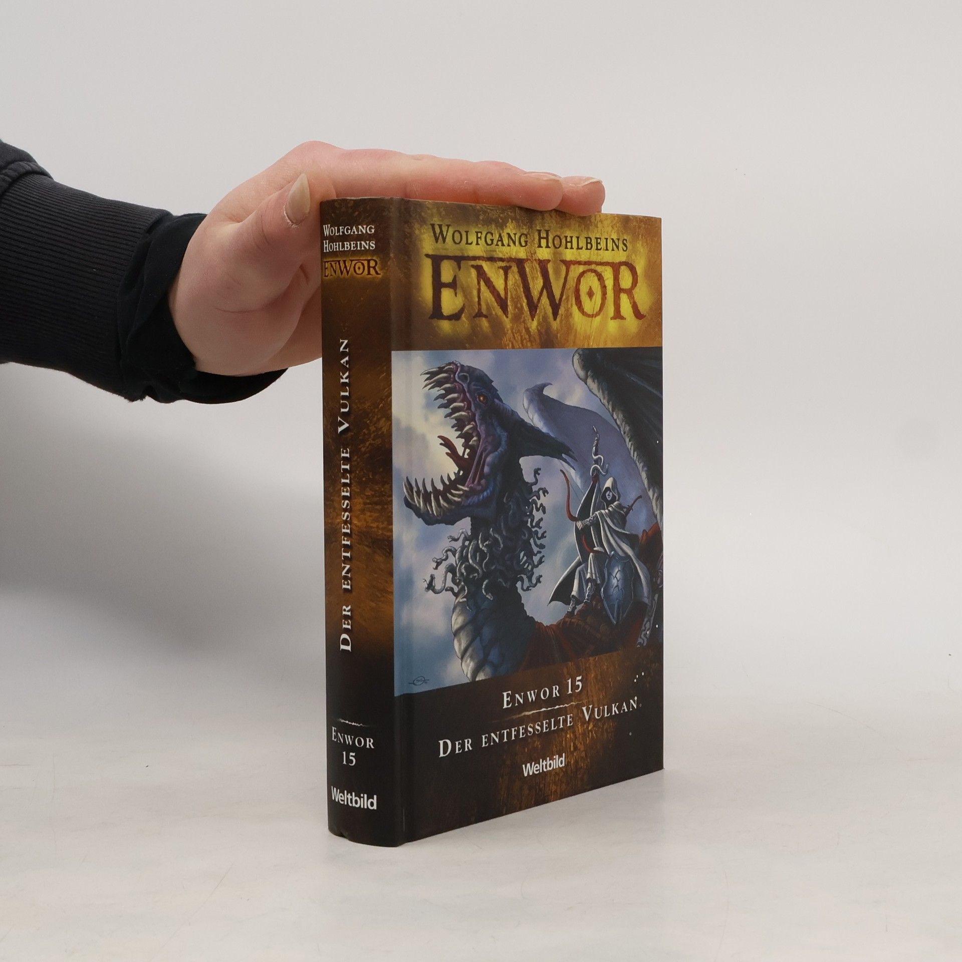 Wolfgang Holbeins Enwor 15. Der entfesselte Vulkan