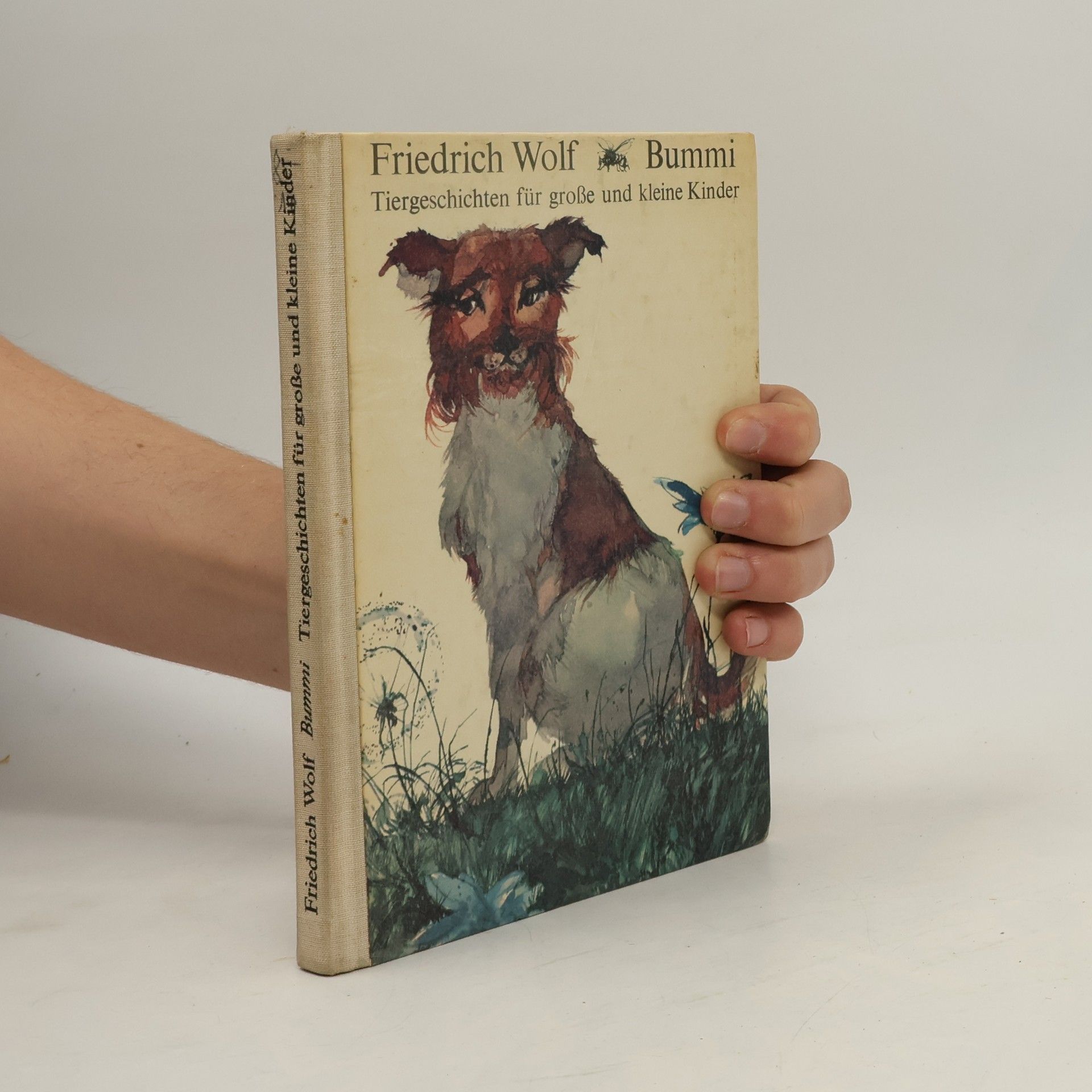 Friedrich Wolf Bummi Tiergeschichten für große und kleine Kinder