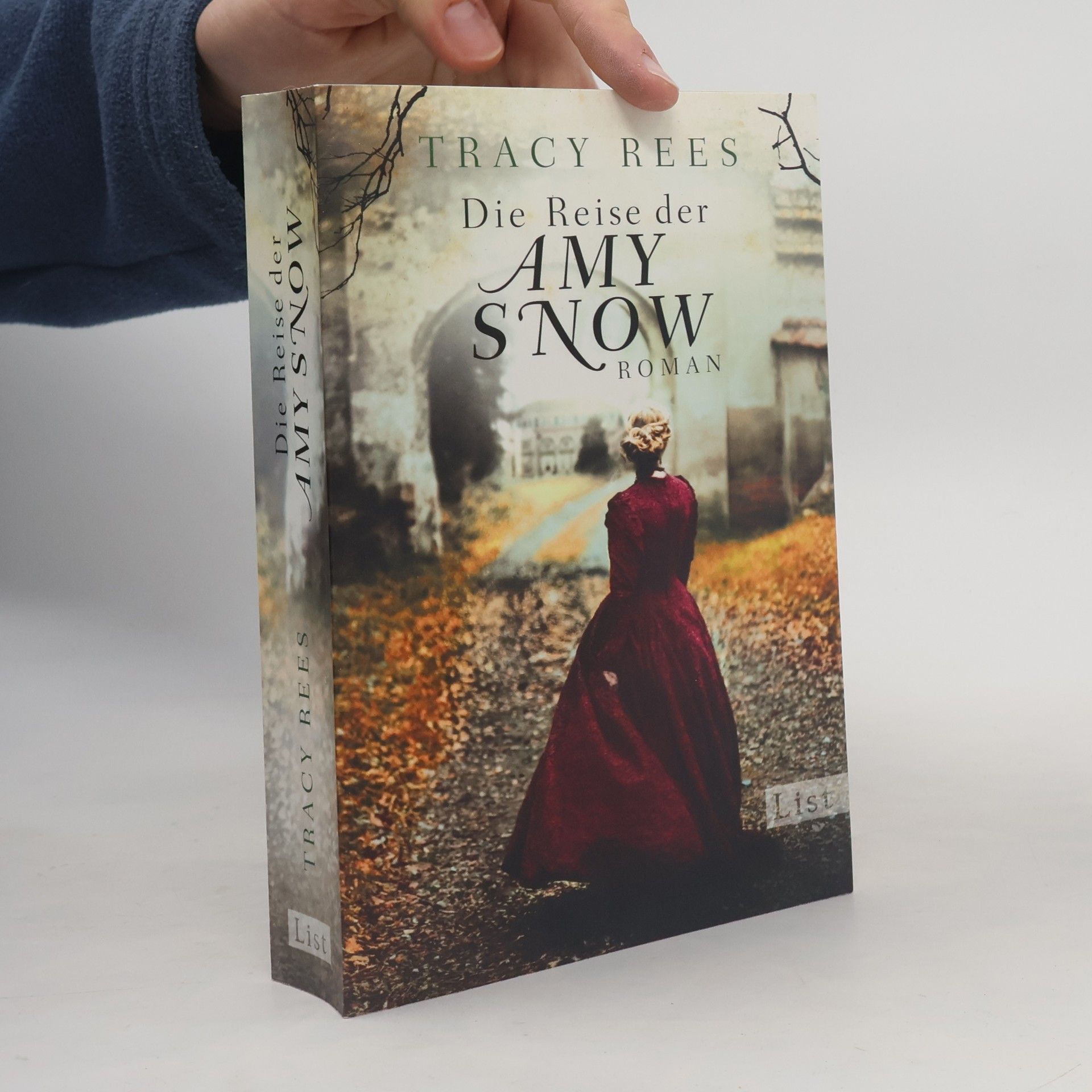 Die Reise der Amy Snow