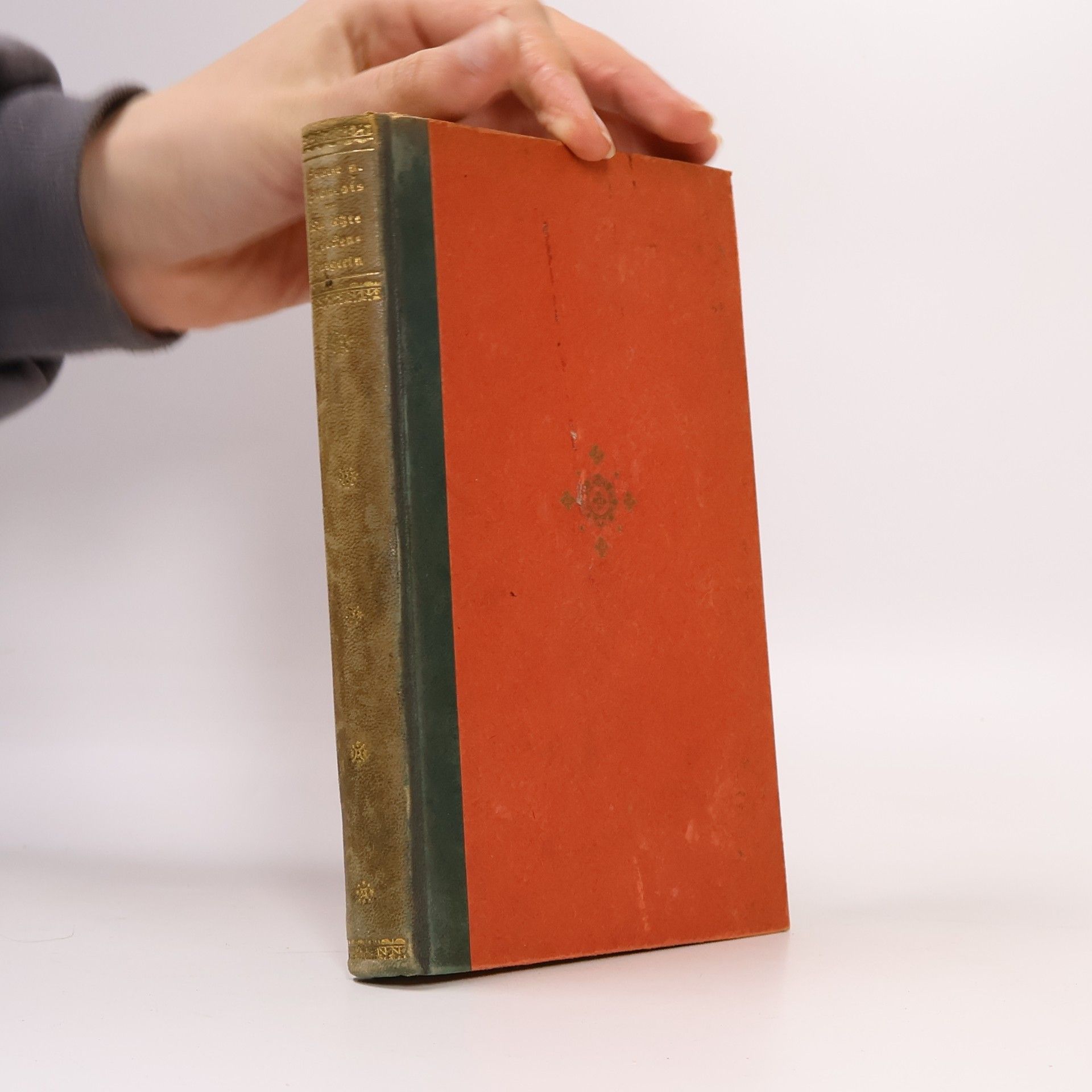 Louise von François Die letzte Reckenburgerin