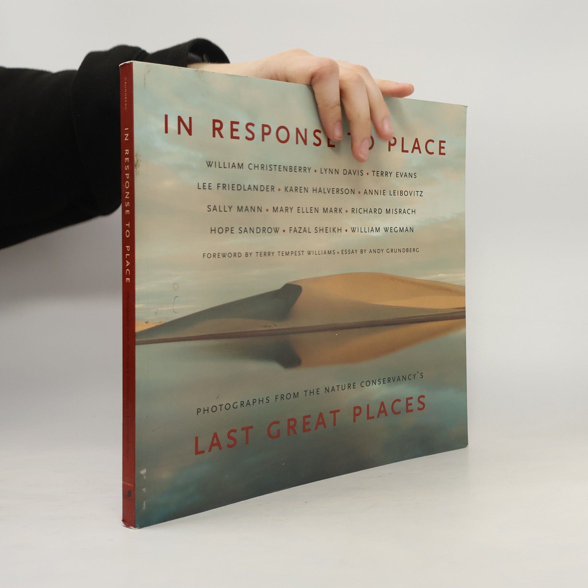 Andy Grundberg In Response to Place