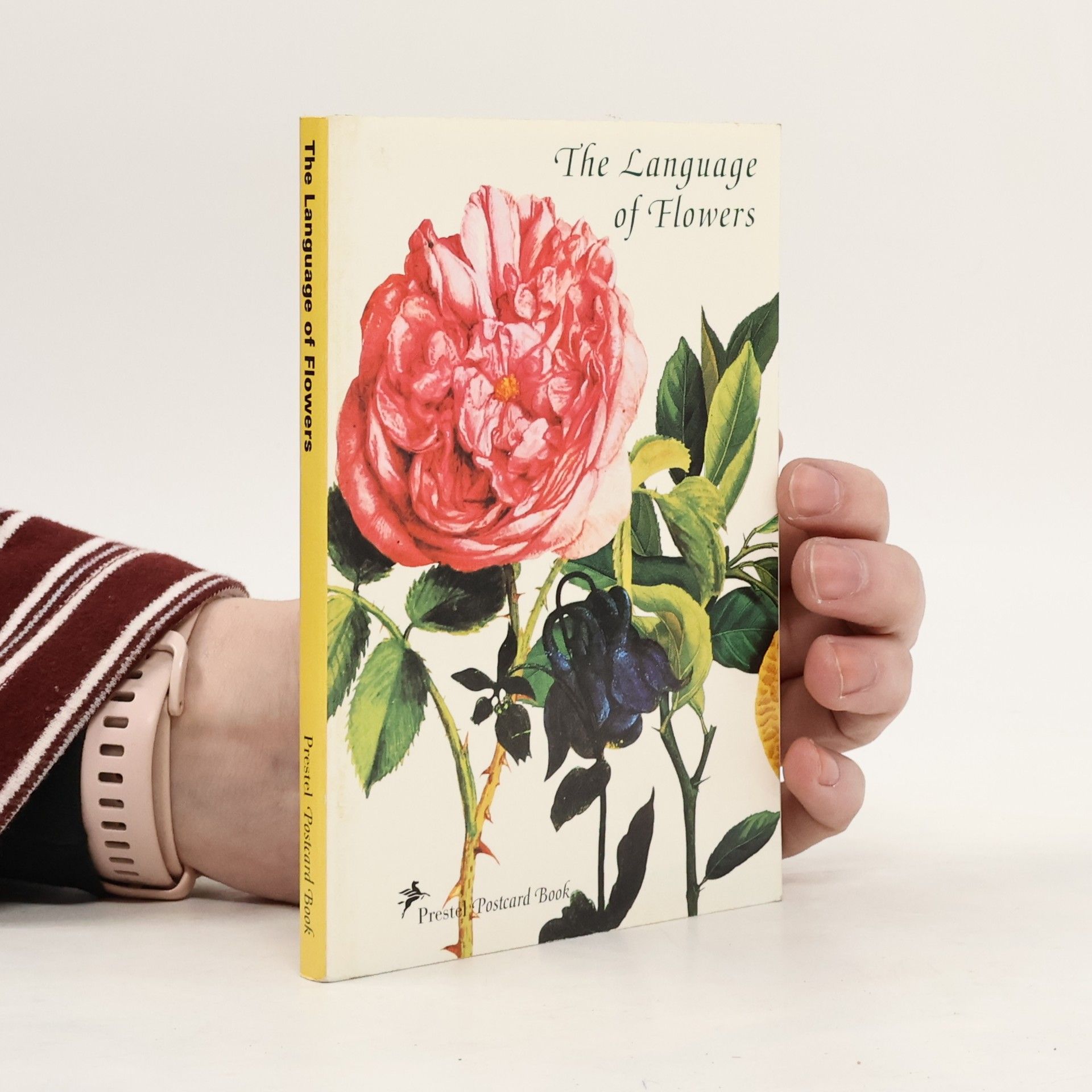 Kolektiv autorů Prestel Postcard Books: The Language of Flowers