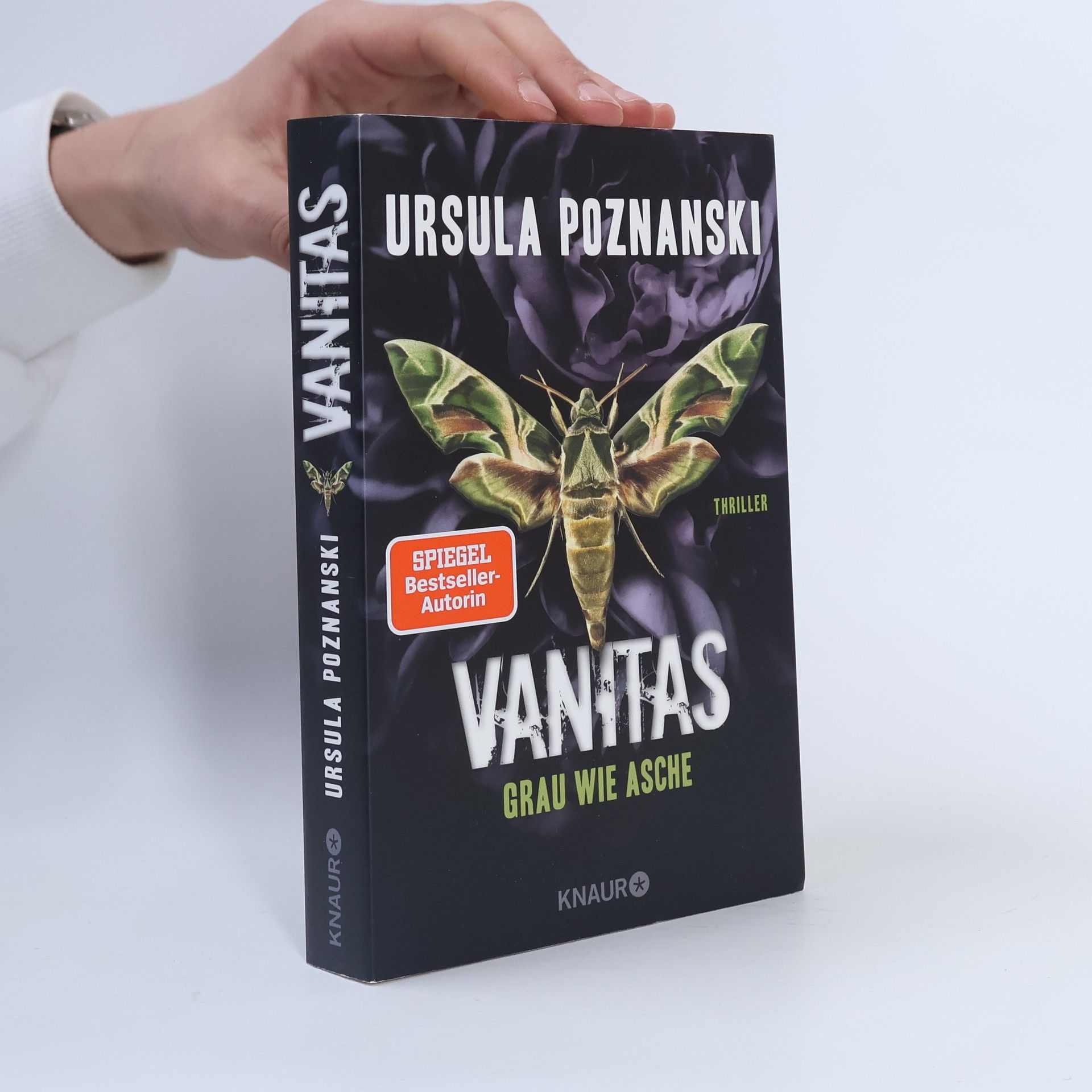 Ursula Poznanski Vanitas. Grau wie Asche